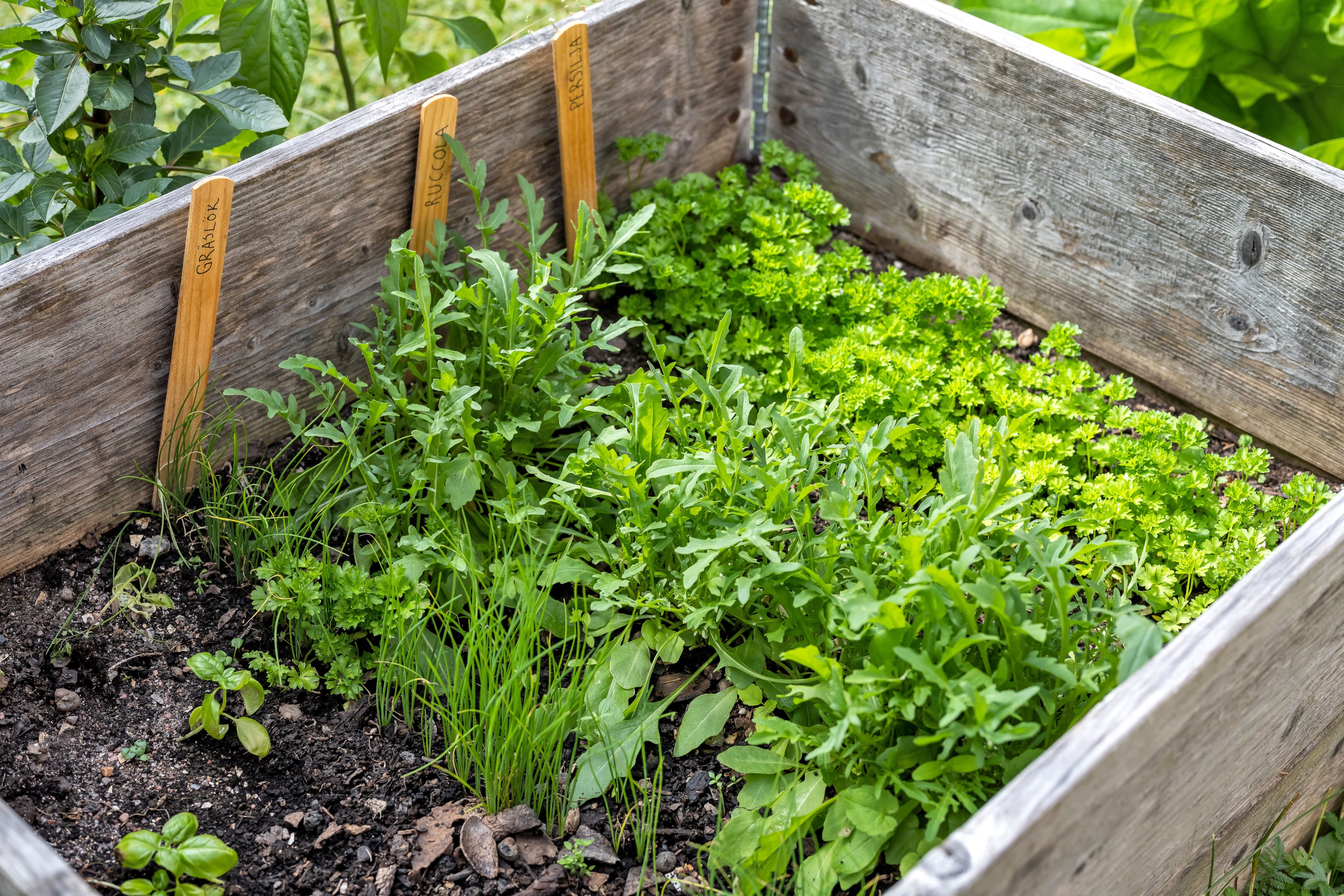 Bostadsbild från Ringgatan 16B, Såld i Luthagen, Uppsala