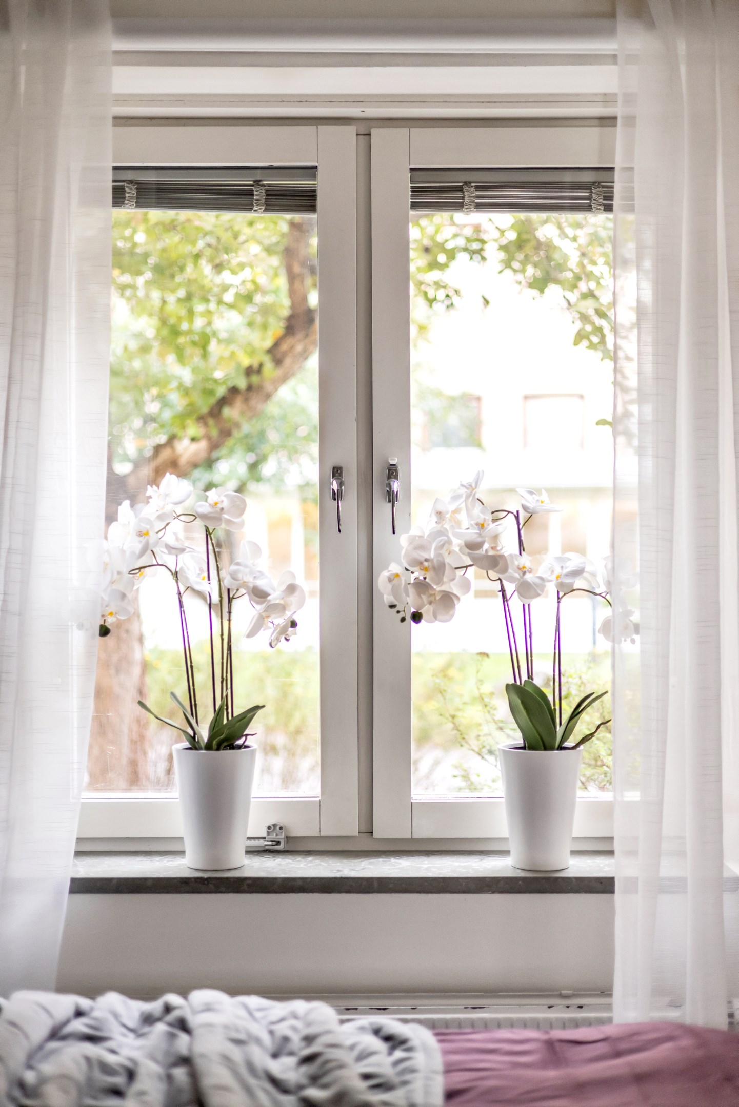 Bostadsbild från Hamnesplanaden 2D, Kommande i Centrum, Uppsala