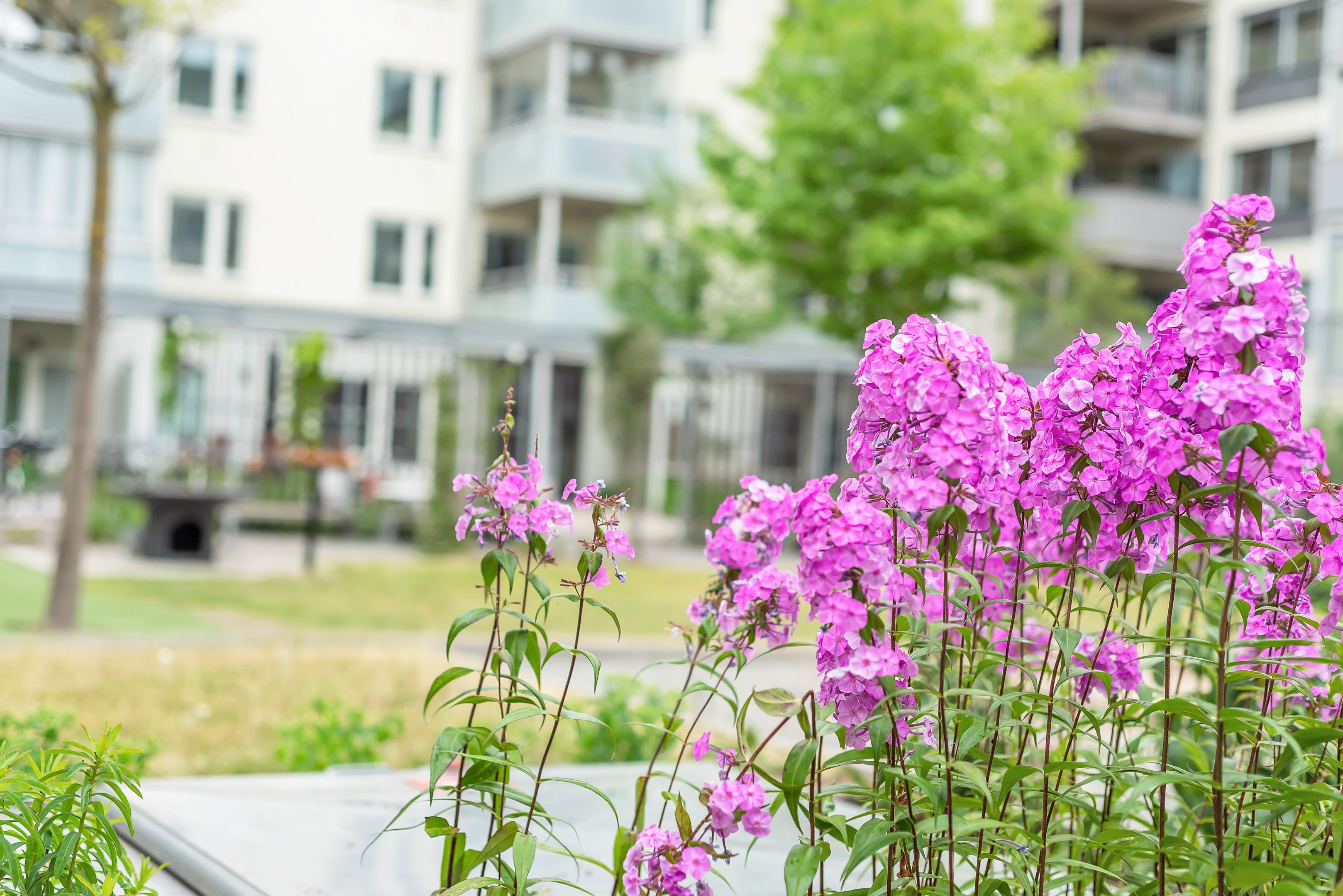 Bostadsbild från Sågargatan 6B, Såld i Kungsängen, Uppsala