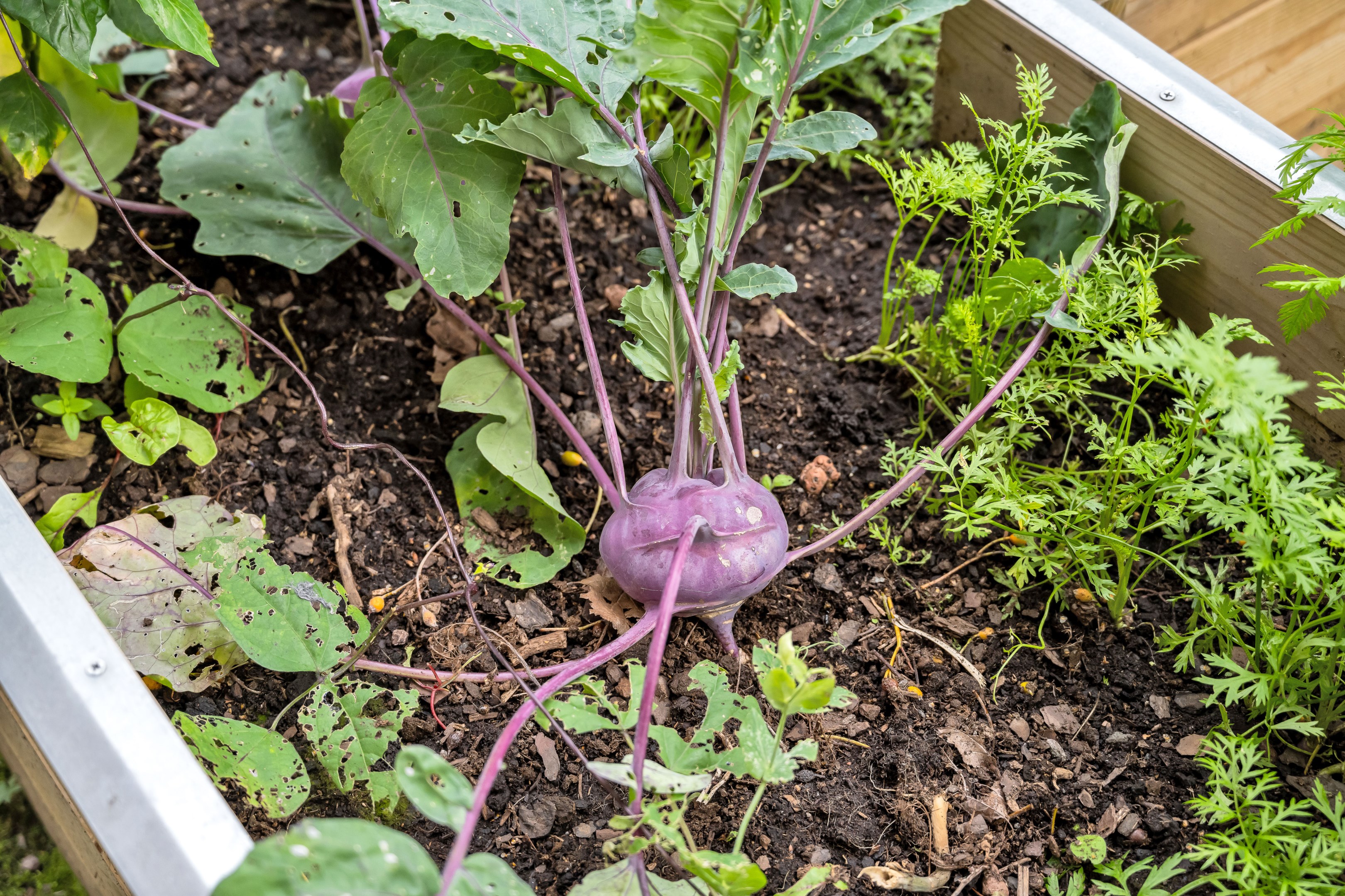 Bostadsbild från Luthagsesplanaden 8B, Såld i Luthagen, Uppsala