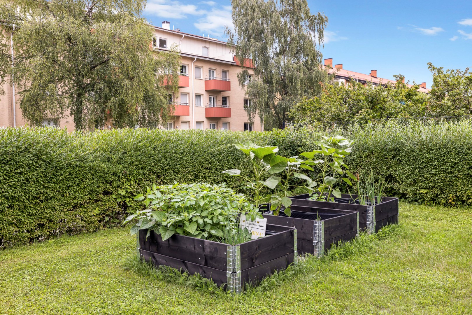 Bostadsbild från Botvidsgatan 8 D, Såld i Höganäs, Uppsala