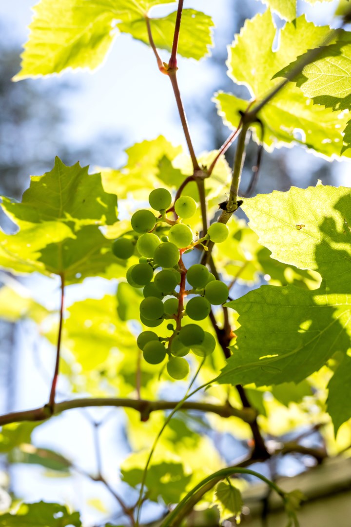 Bostadsbild från Bergslagsresan 42, Såld i Sävja, Uppsala