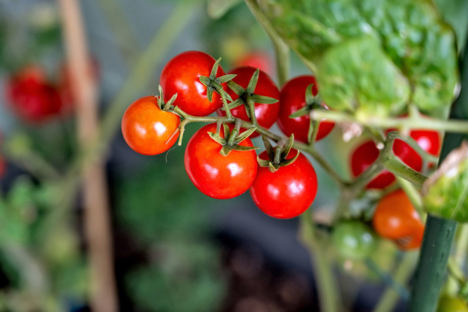 Bostadsbild från Götgatan 30E, Såld i Luthagen, Uppsala
