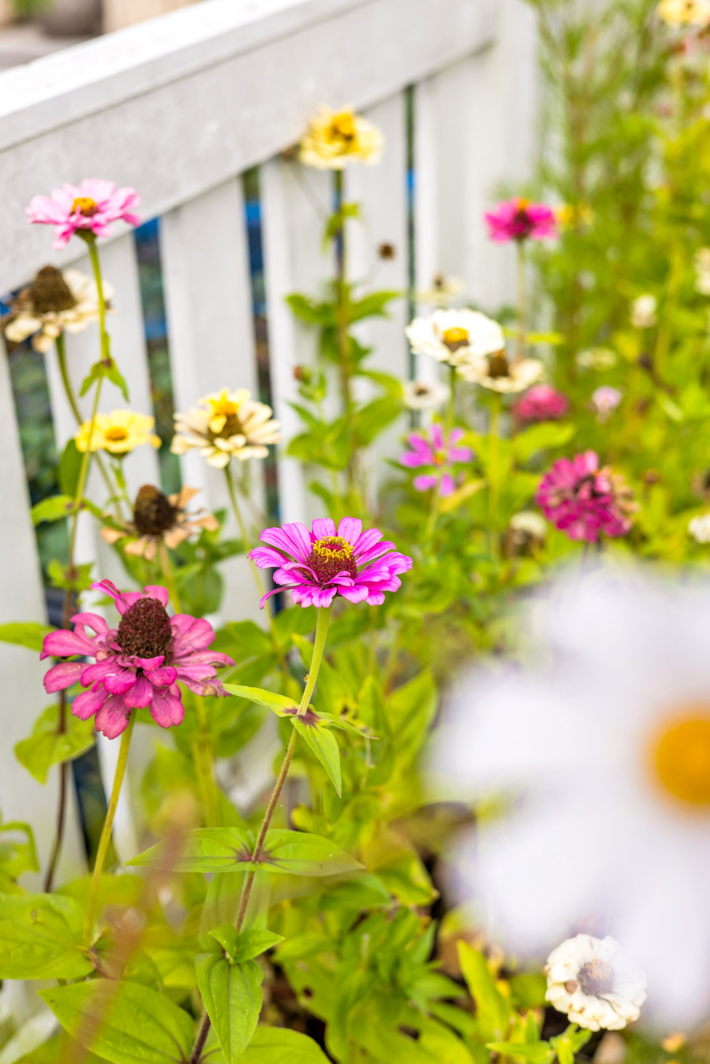 Bostadsbild från Stenbrottsgatan 5E, Kommande i Alsike, Knivsta