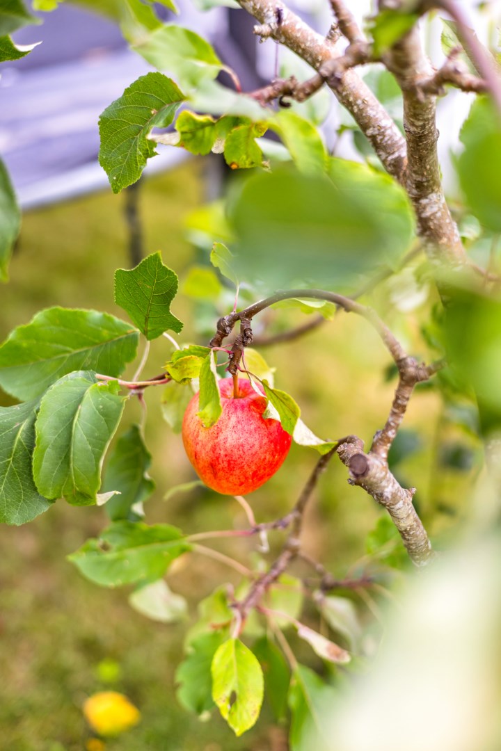 Bostadsbild från Stenbrottsgatan 5E, Kommande i Alsike, Knivsta