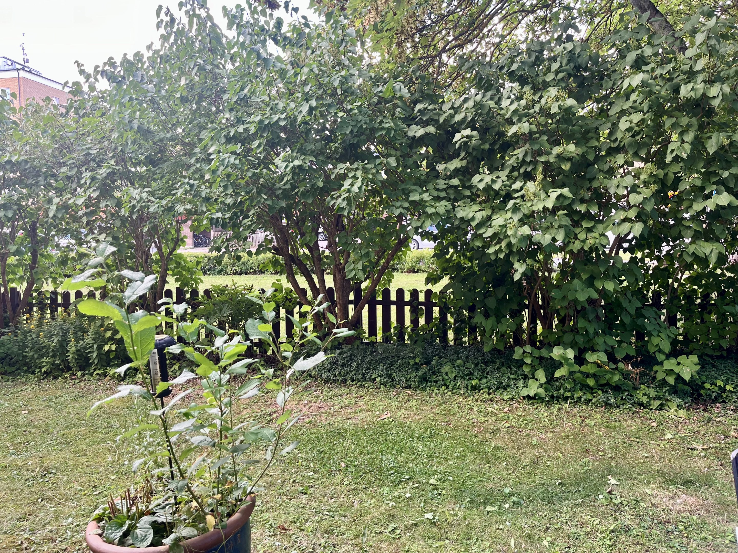 Bostadsbild från Leopoldsgatan 30, Såld i Nyby, Uppsala