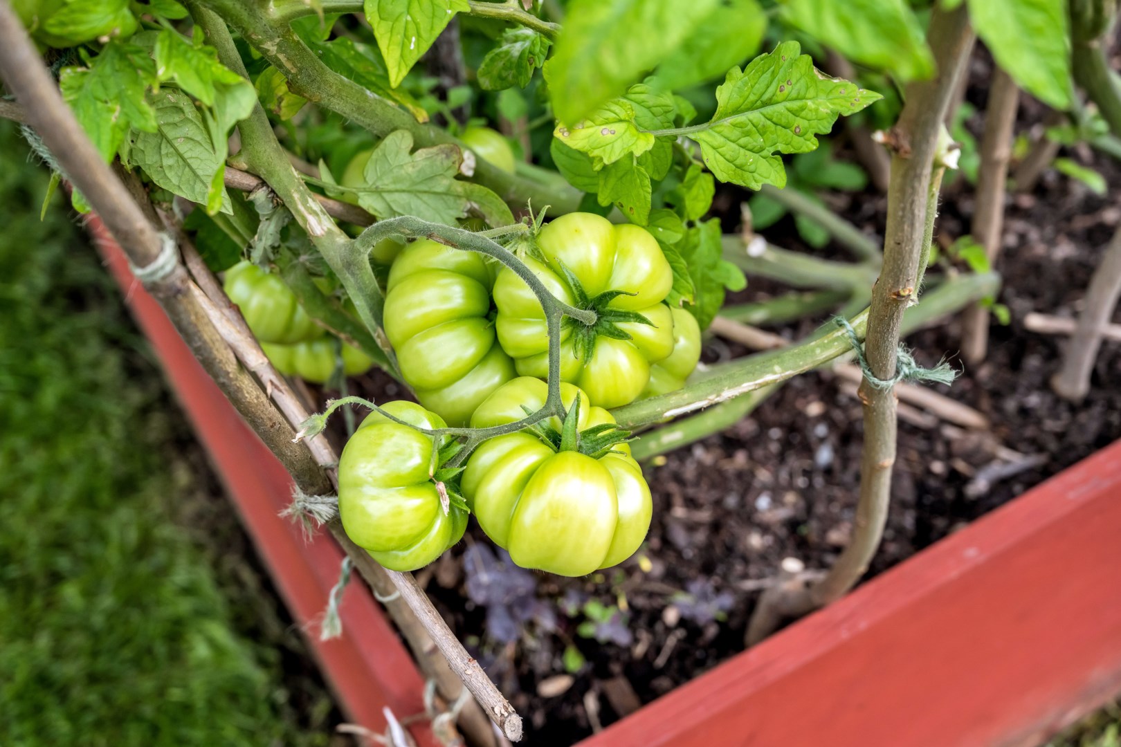 Bostadsbild från Salagatan 53B, Såld i Fålhagen, Uppsala