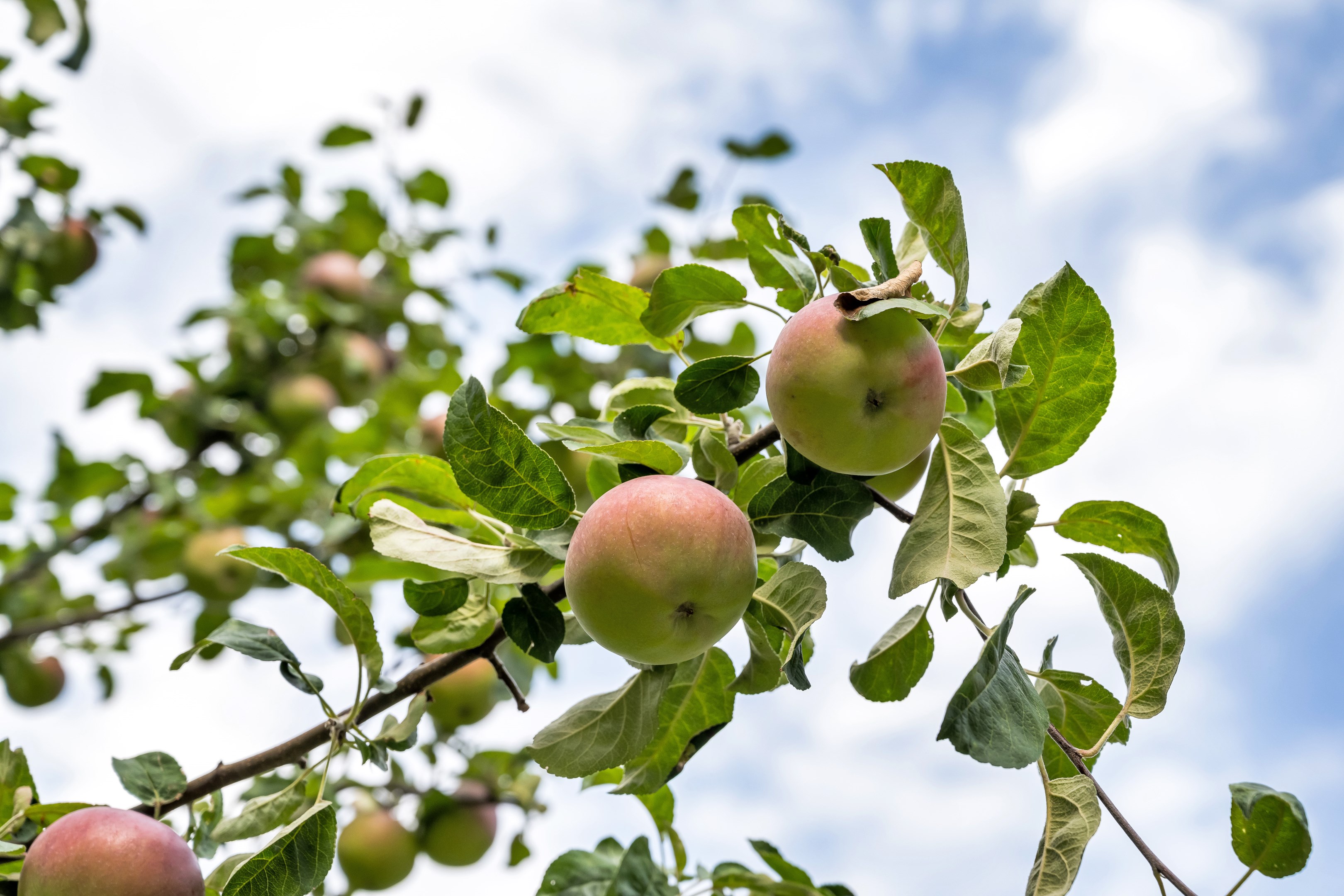 Bostadsbild från Salagatan 53B, Såld i Fålhagen, Uppsala