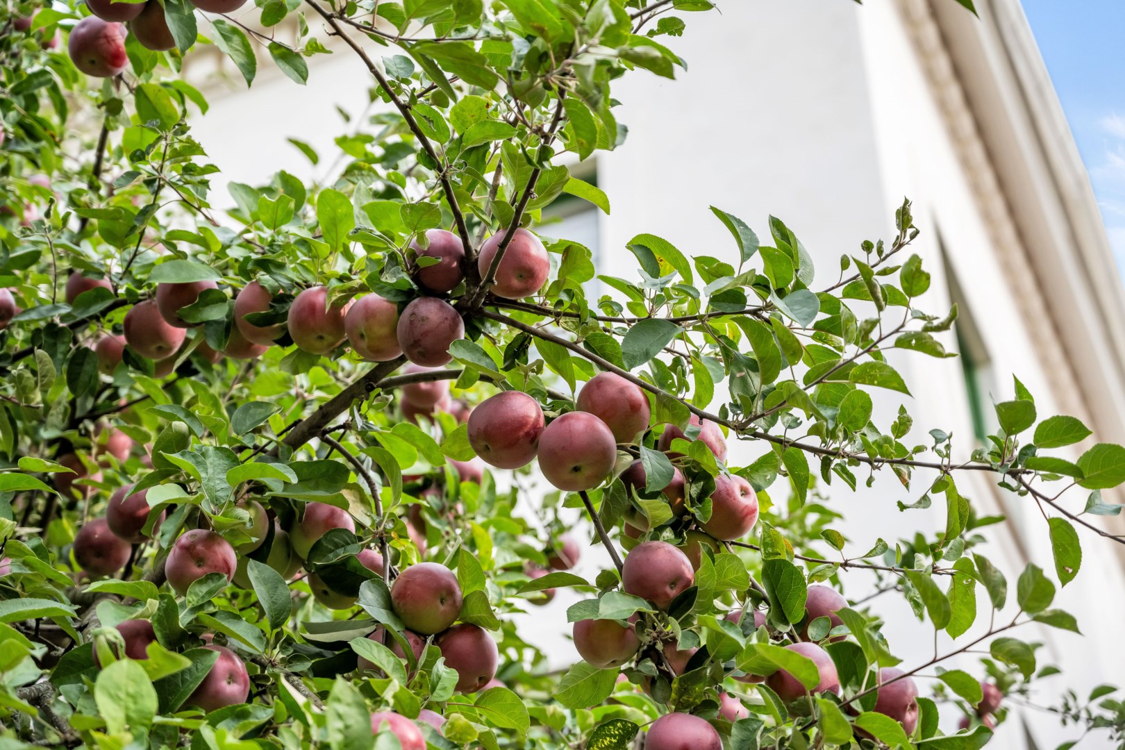 Bostadsbild från Väderkvarnsgatan 31B, Såld i Fålhagen, Uppsala