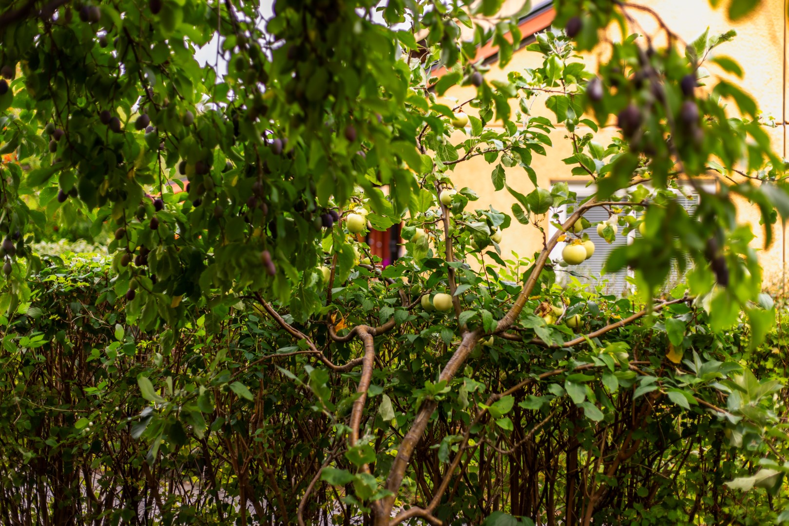 Bostadsbild från Björkholmsvägen 103, Såld i Östra Orminge, Nacka