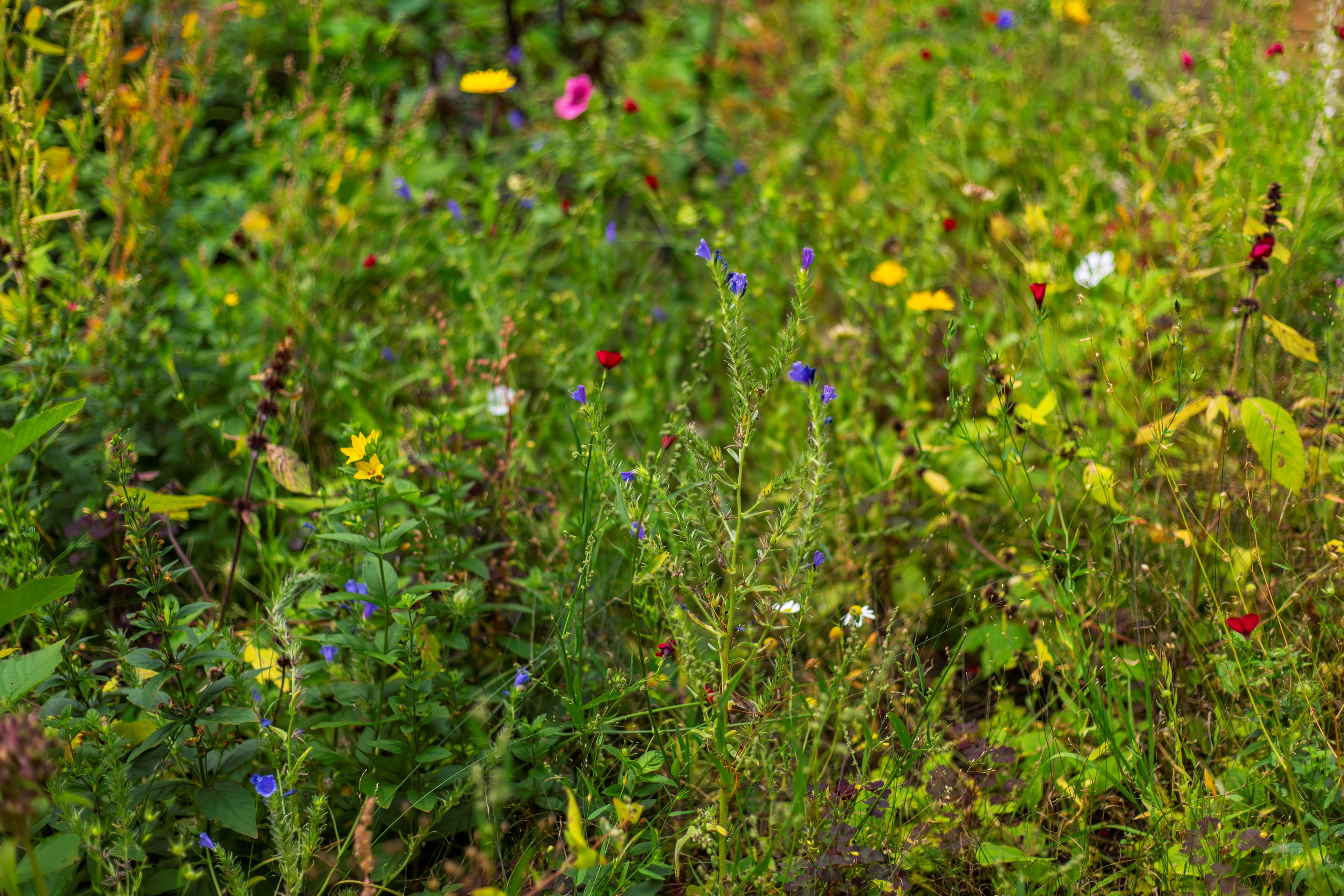 Bostadsbild från Björkholmsvägen 103, Såld i Östra Orminge, Nacka