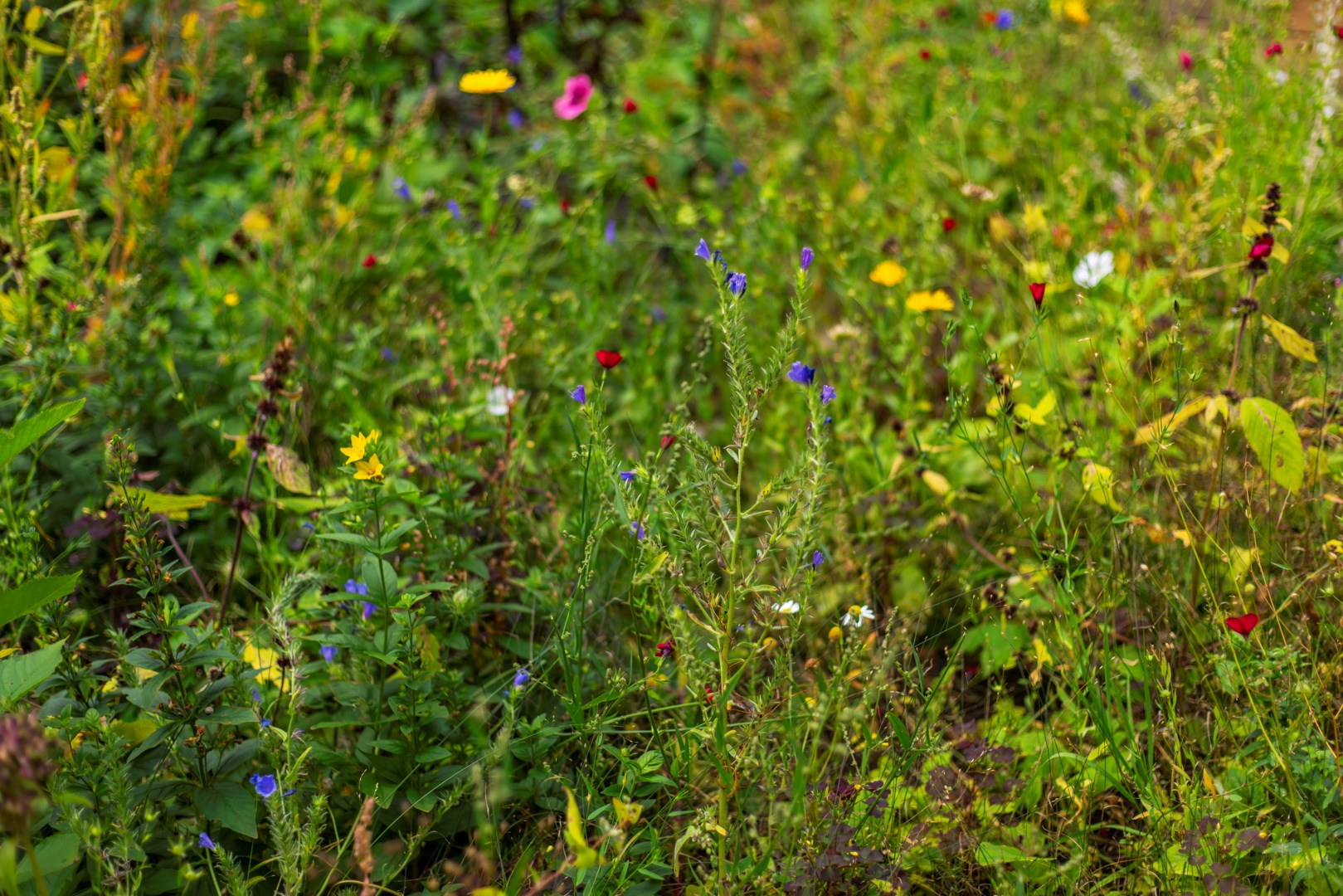 Bostadsbild från Björkholmsvägen 103, Såld i Östra Orminge, Nacka