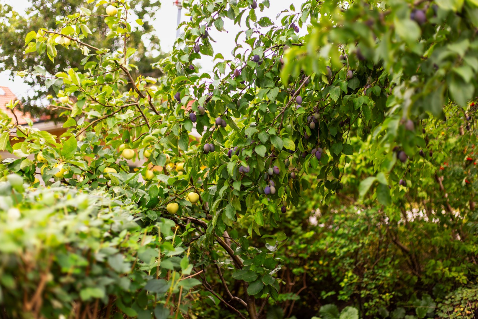 Bostadsbild från Björkholmsvägen 103, Såld i Östra Orminge, Nacka