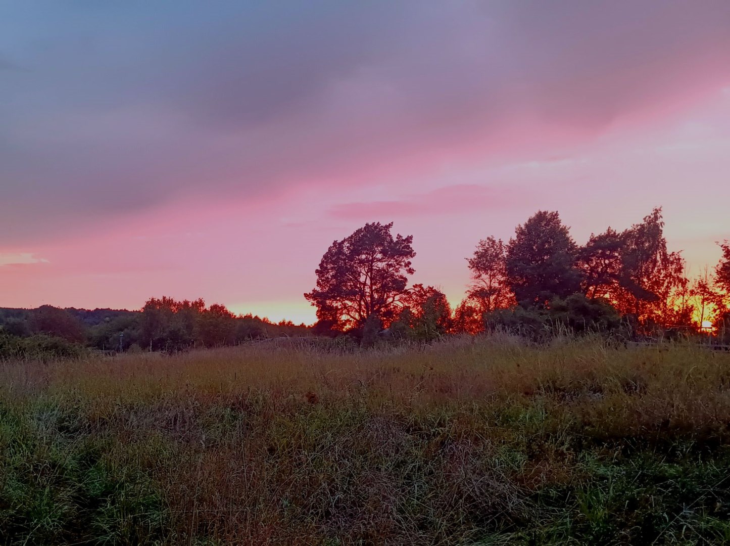 Bostadsbild från Vänortsgatan 94, Såld i Ekeby, Uppsala