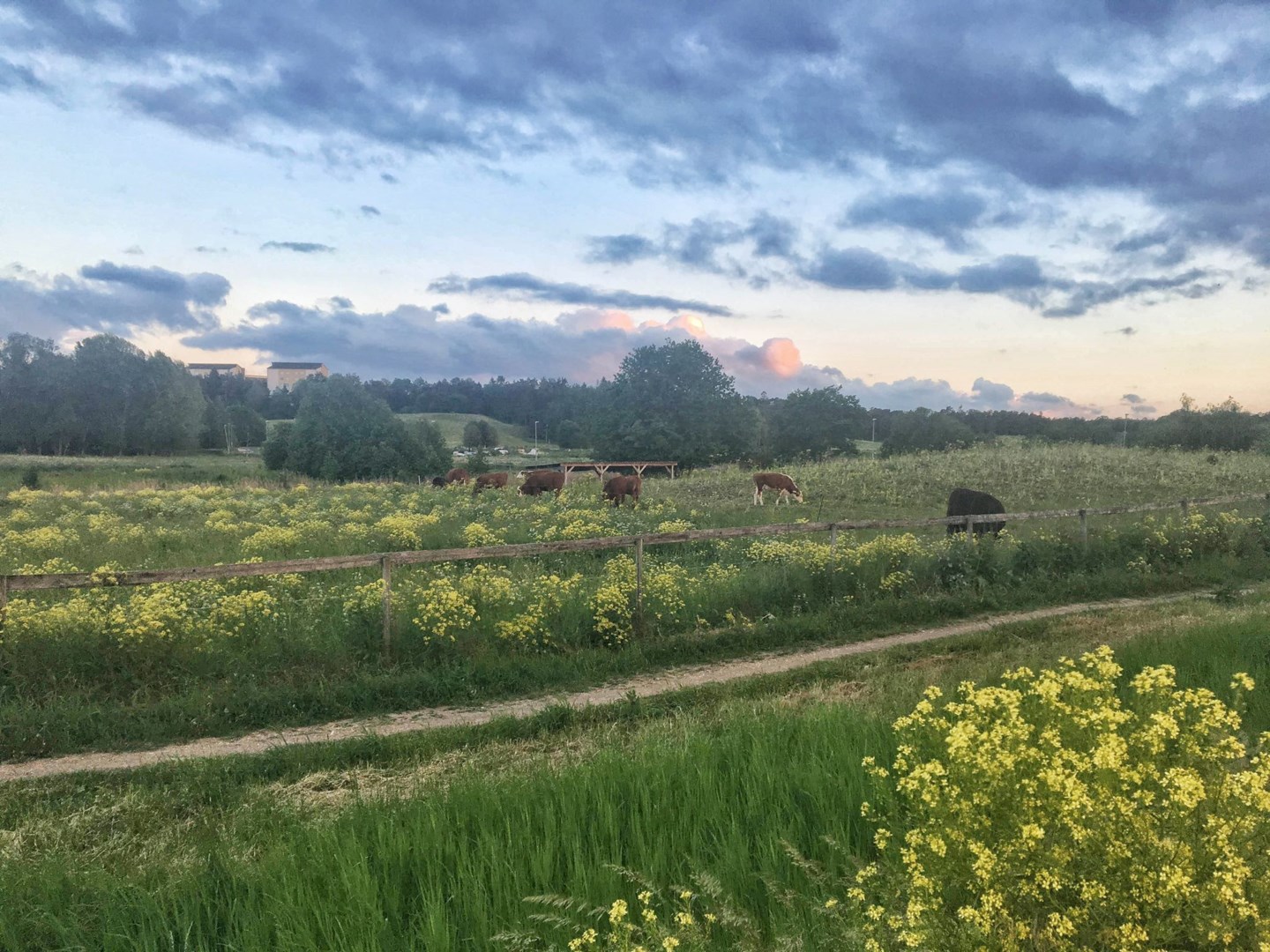Bostadsbild från Vänortsgatan 94, Såld i Ekeby, Uppsala