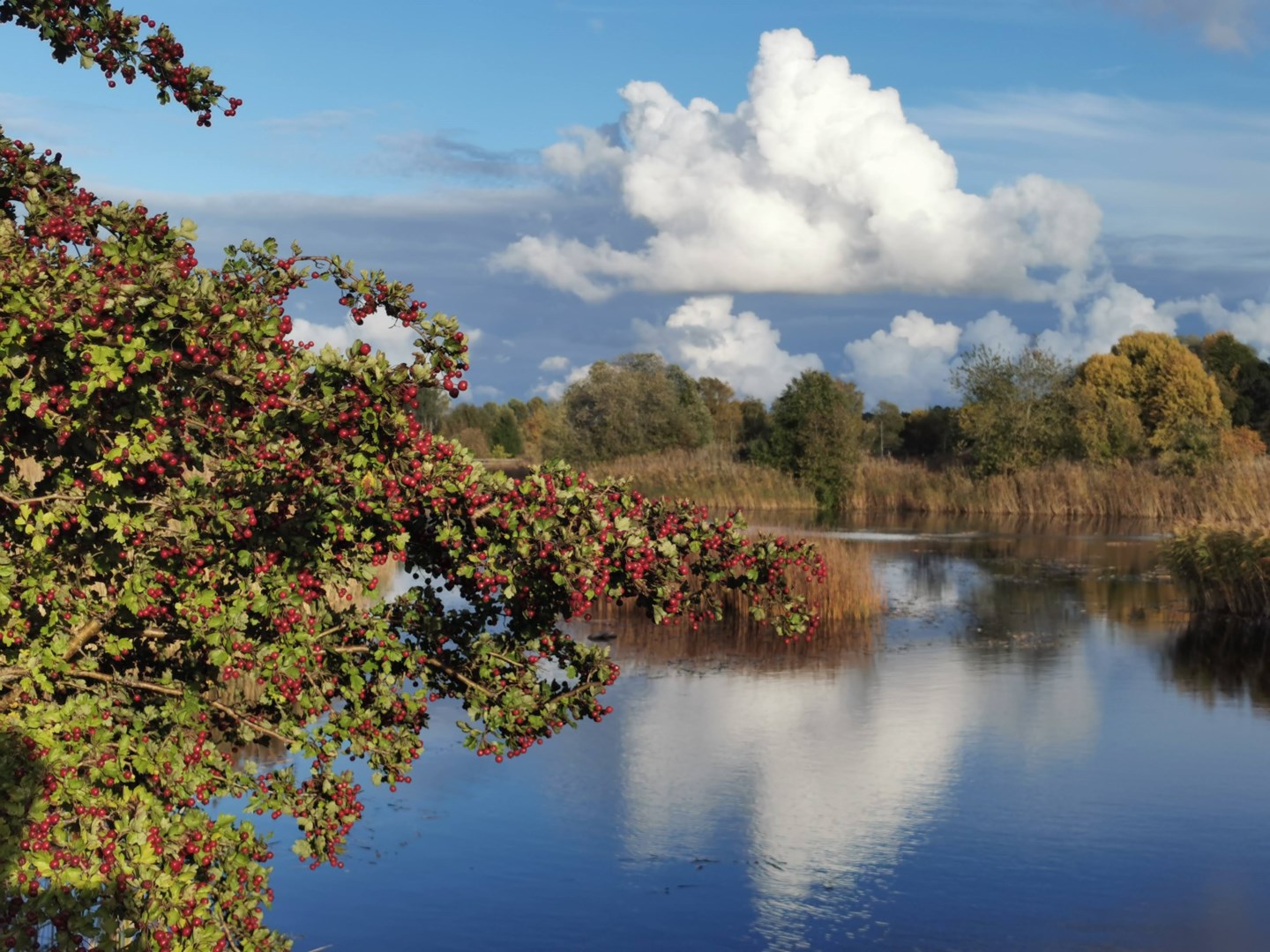 Bostadsbild från Vänortsgatan 94, Såld i Ekeby, Uppsala