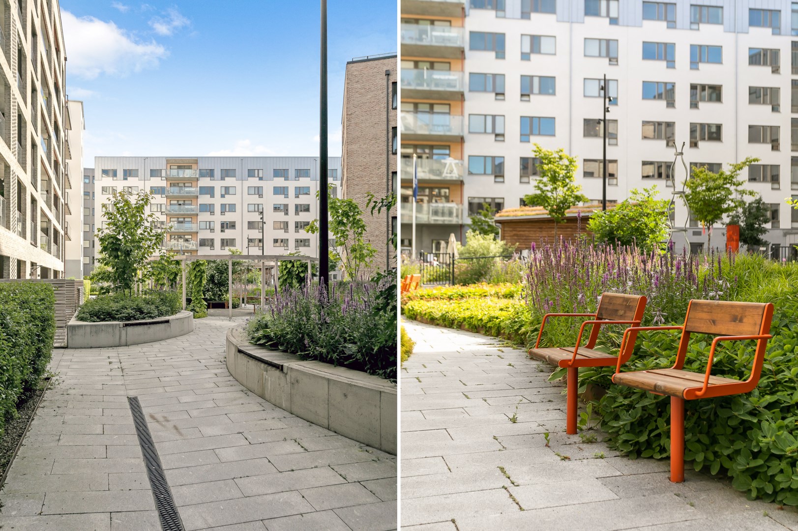 Föreningens lummiga innergård