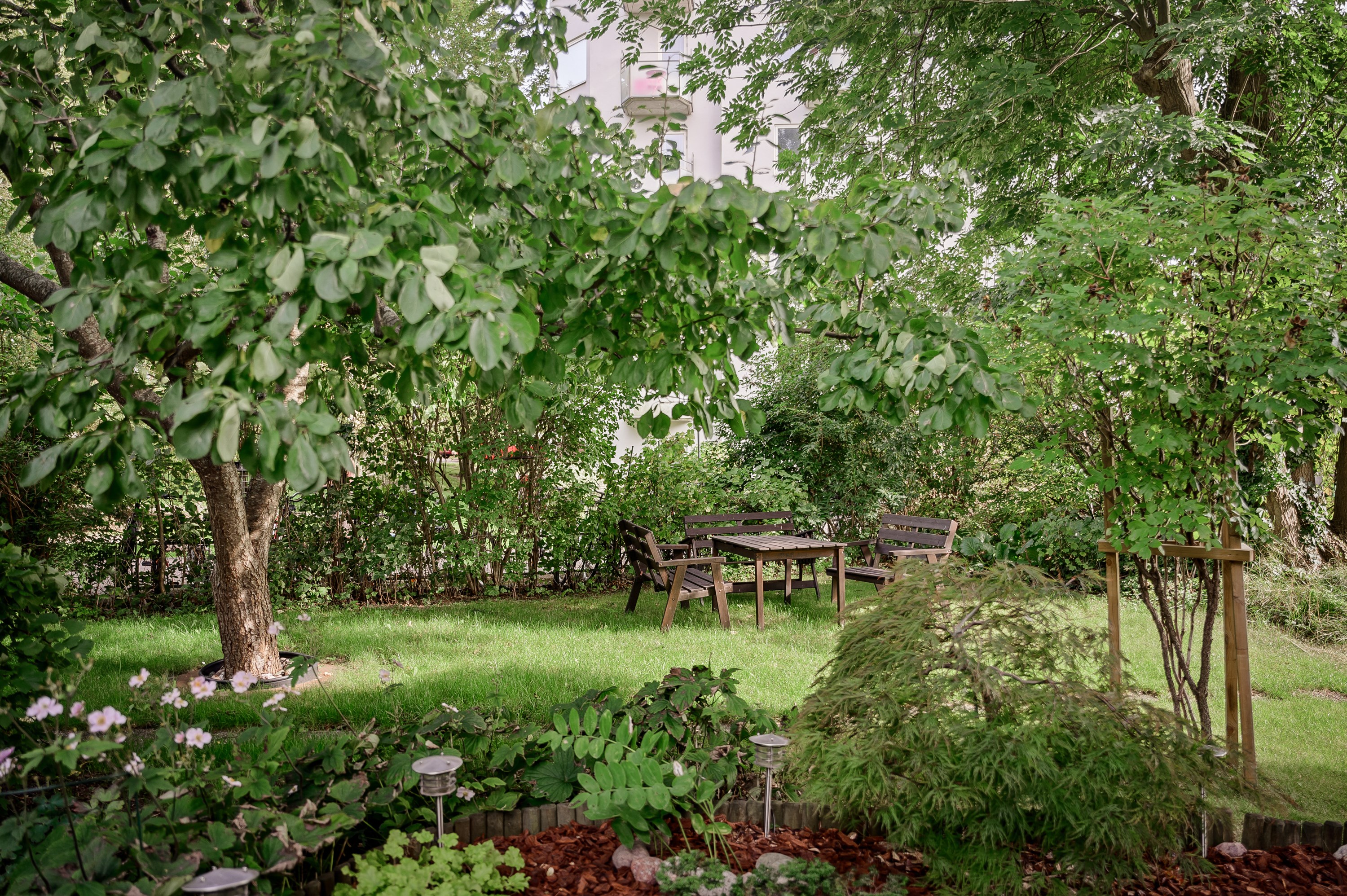 Trädgården är rik på bärbuskar och fruktträd.