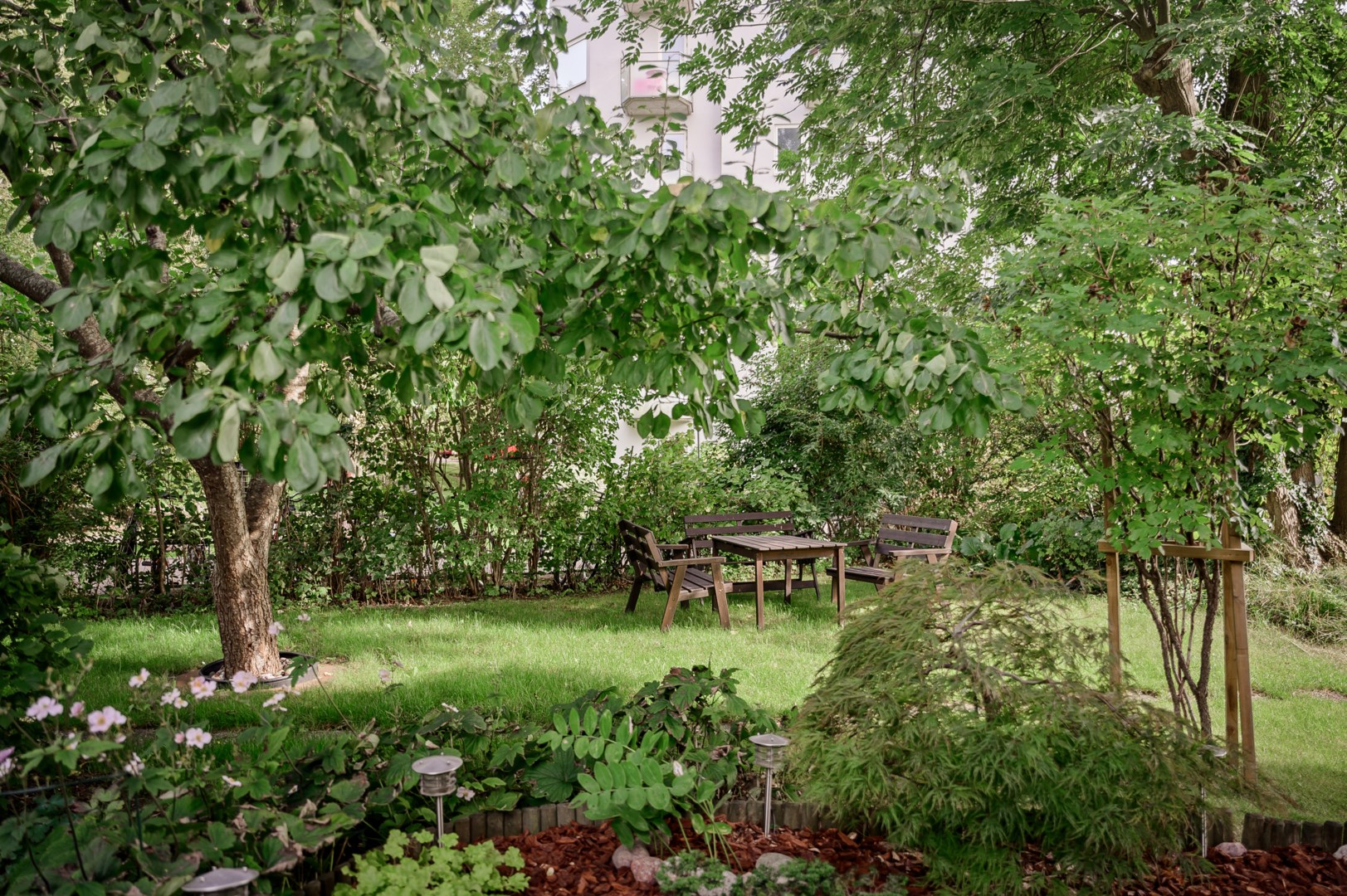 Trädgården är rik på bärbuskar och fruktträd.