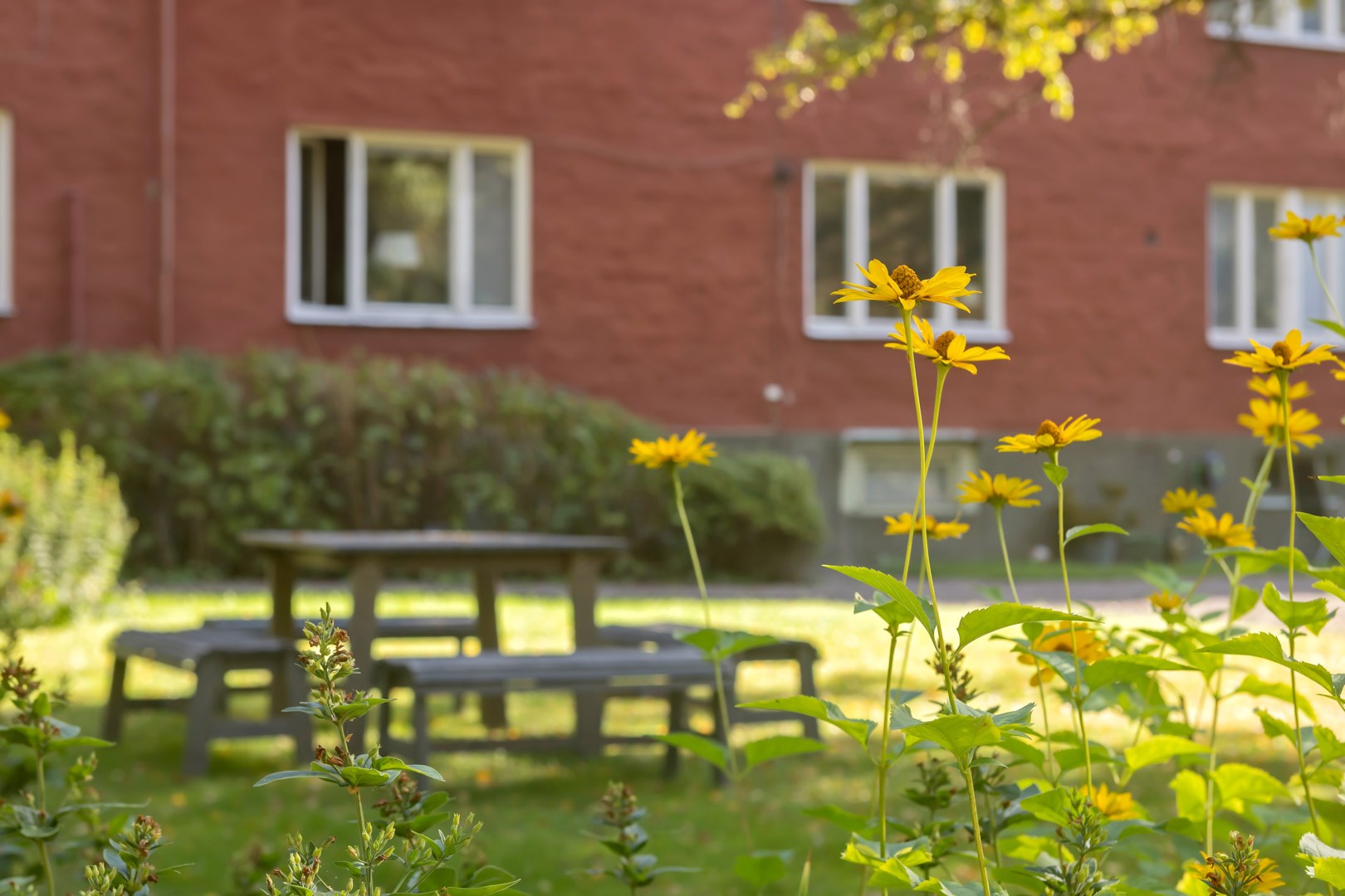 Bostadsbild från S:t Olofsgatan 58C, Såld i Höganäs, Uppsala