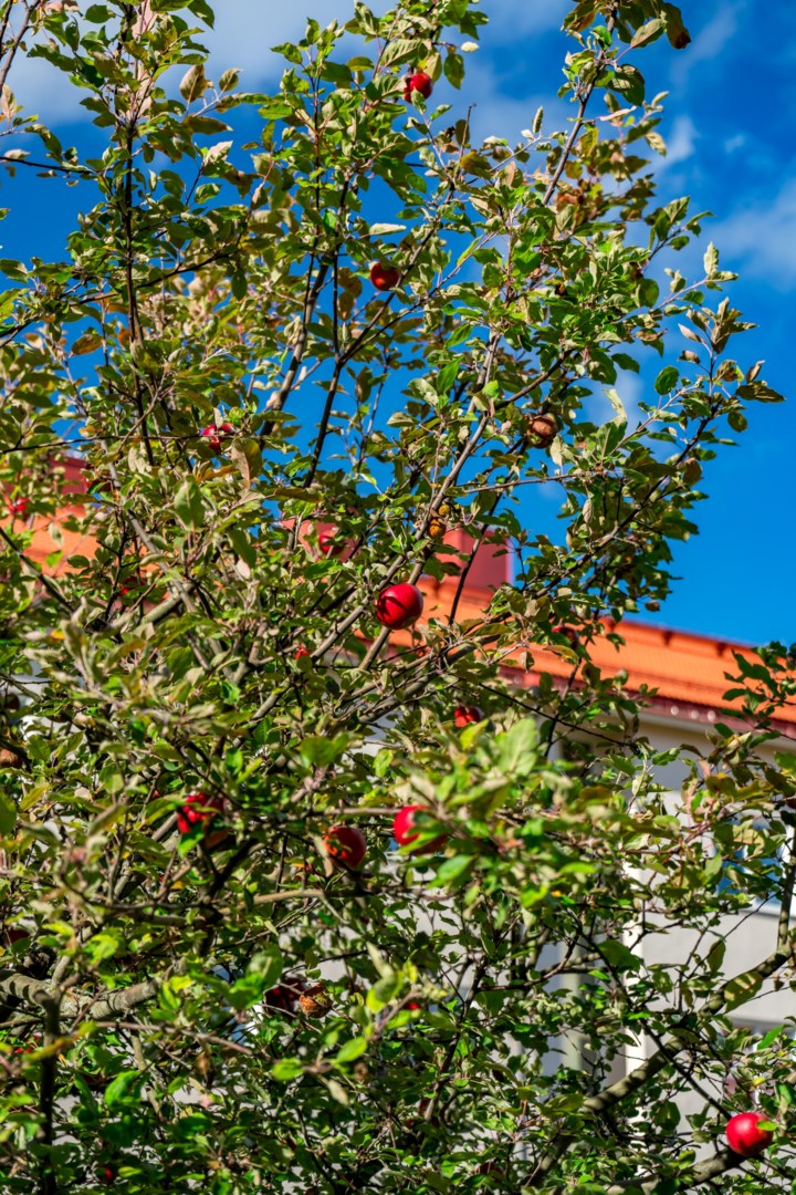 Bostadsbild från Salagatan 53A, Till salu i Fålhagen, Uppsala