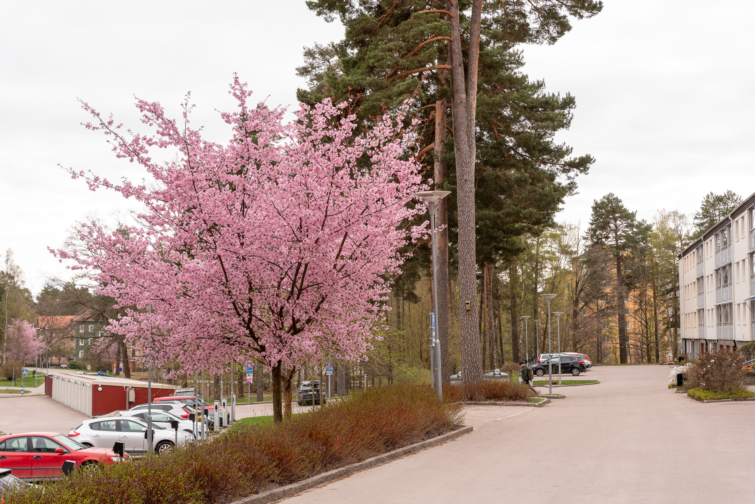 Bostadsbild från Rekylgatan 17, Såld i Haga, Västerås