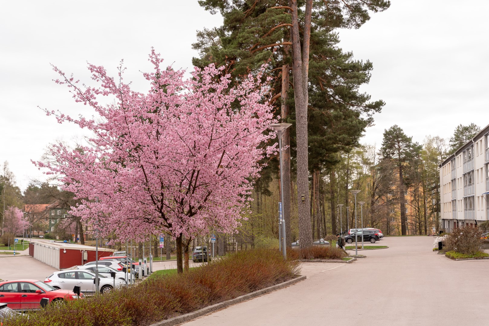 Bostadsbild från Rekylgatan 17, Såld i Haga, Västerås