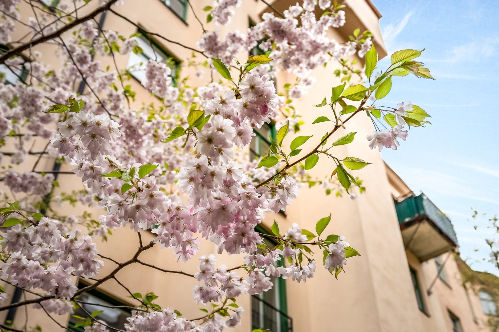 Bostadsbild från Danderydsgatan 30A, Såld i Östermalm - Lärkstan, Stockholm