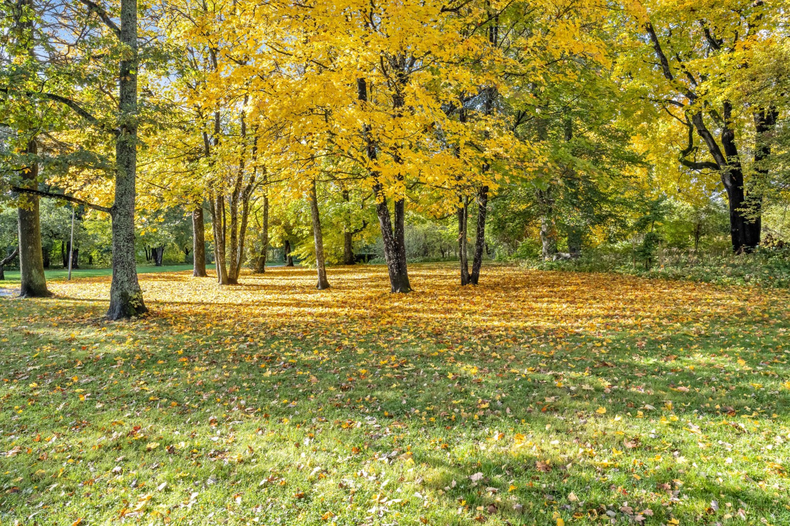 Bostadsbild från Munters gata 23, Såld i Nyby, Uppsala