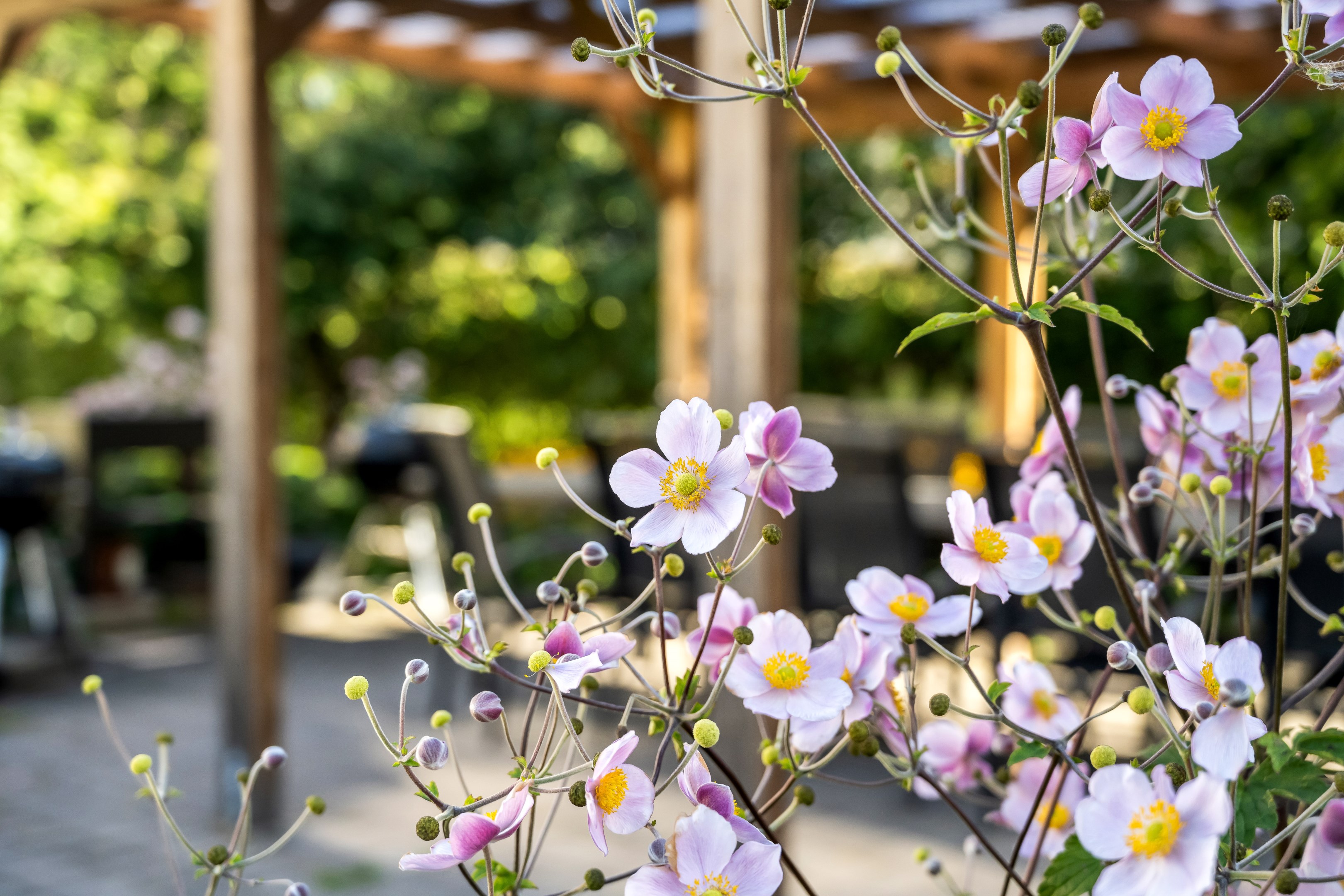 Bostadsbild från Hjalmar Brantingsgatan 12A, Såld i Fålhagen, Uppsala