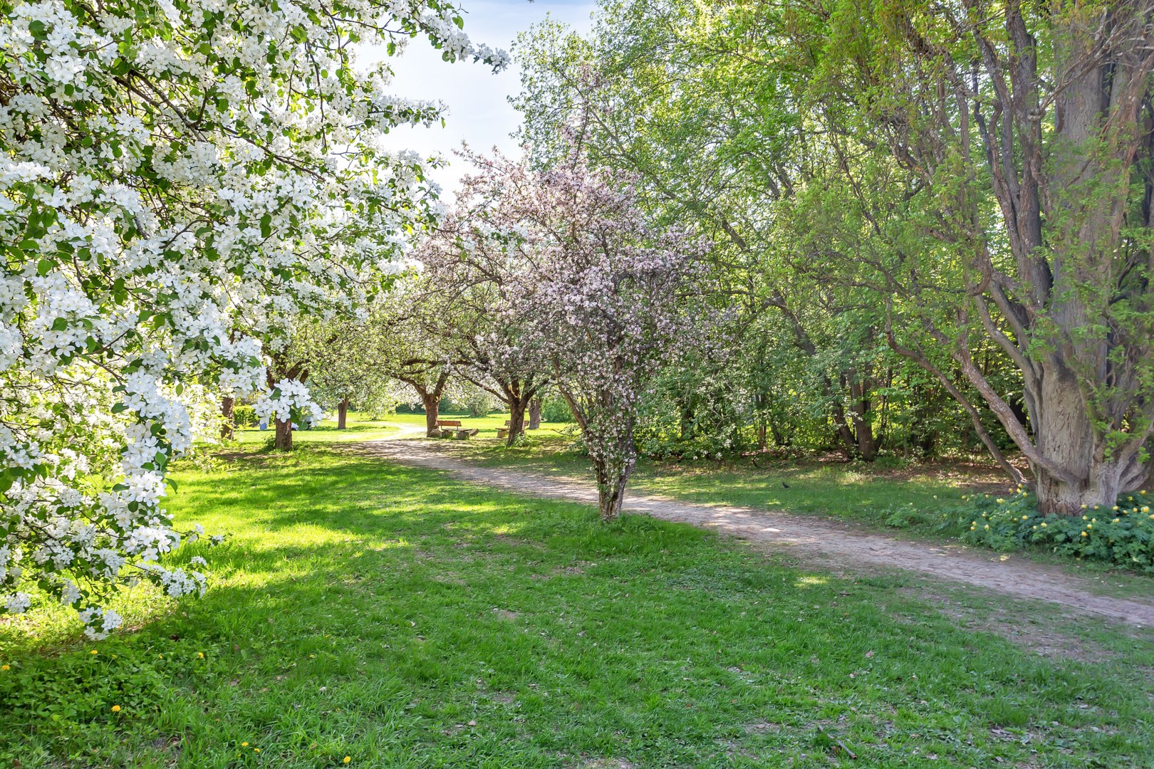 Bostadsbild från Ringgatan 2B, Såld i Luthagen, Uppsala