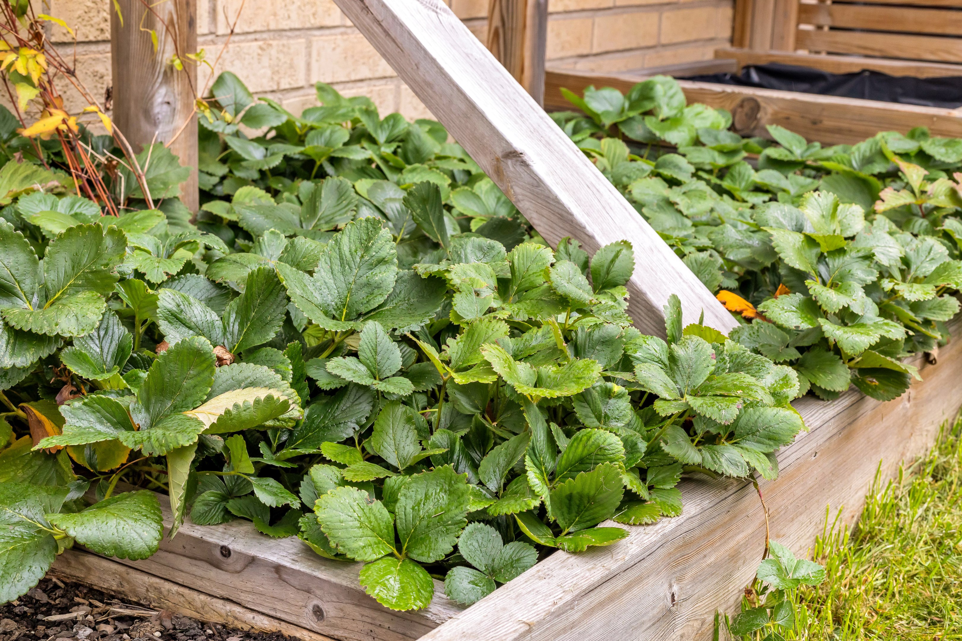 Bostadsbild från Wivalliusgatan 3, Såld i Nyby, Uppsala