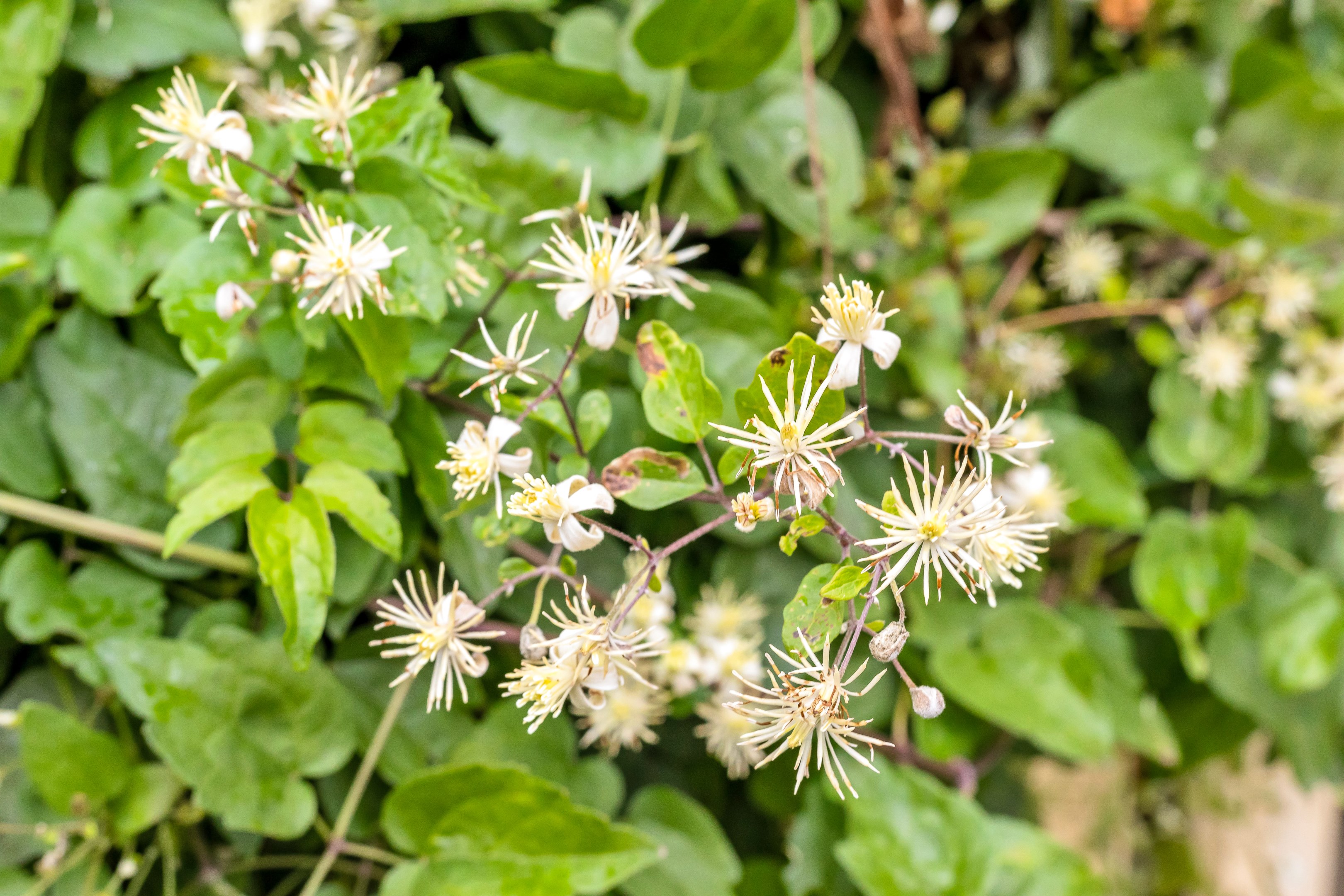 Bostadsbild från Wivalliusgatan 3, Såld i Nyby, Uppsala