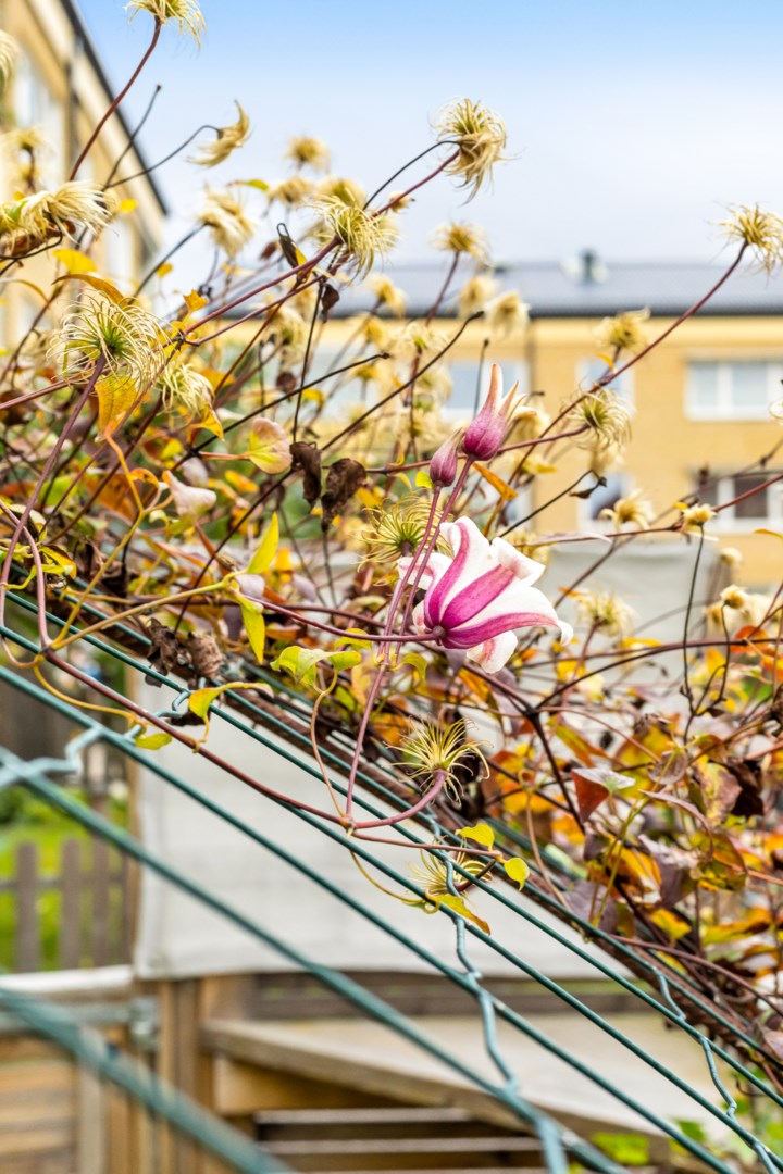 Bostadsbild från Wivalliusgatan 3, Såld i Nyby, Uppsala