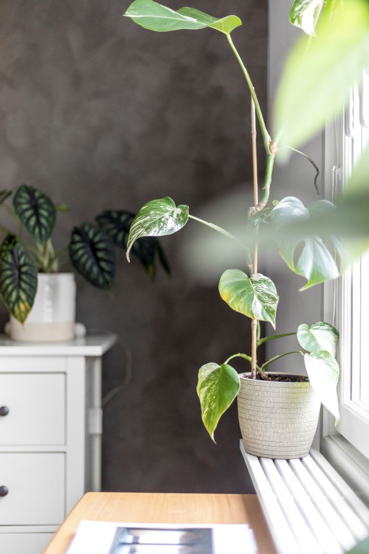 Bostadsbild från Wivalliusgatan 3, Såld i Nyby, Uppsala