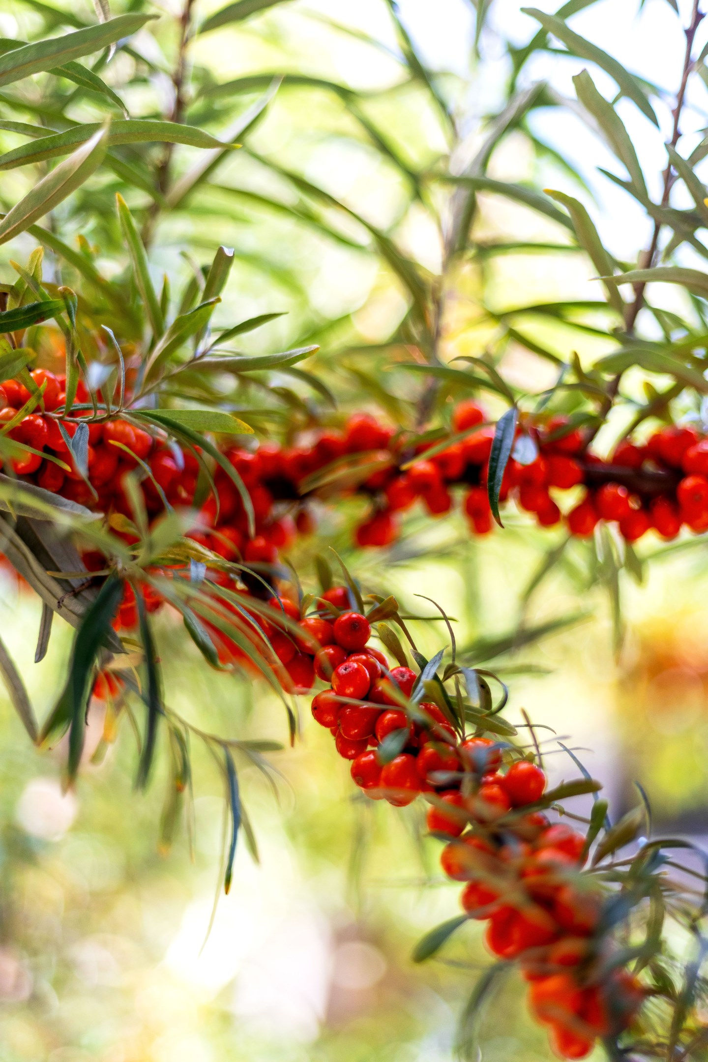 Bostadsbild från Lings väg 57, Såld i Ling, Uppsala