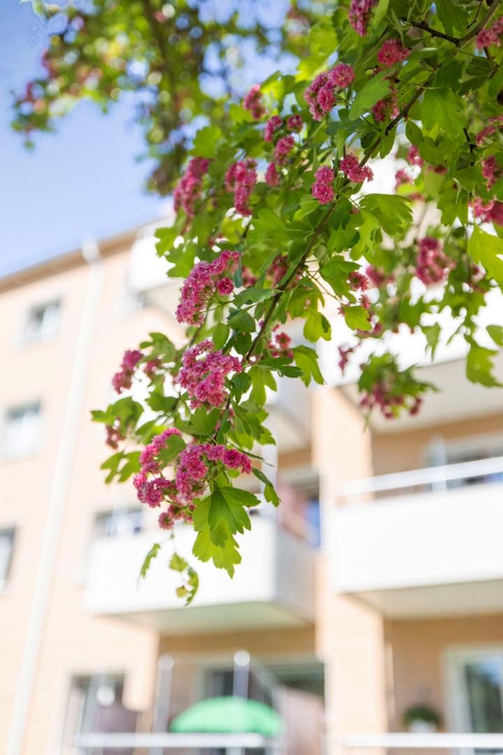 Bostadsbild från Tiundagatan 56B, Såld i Luthagen, Uppsala