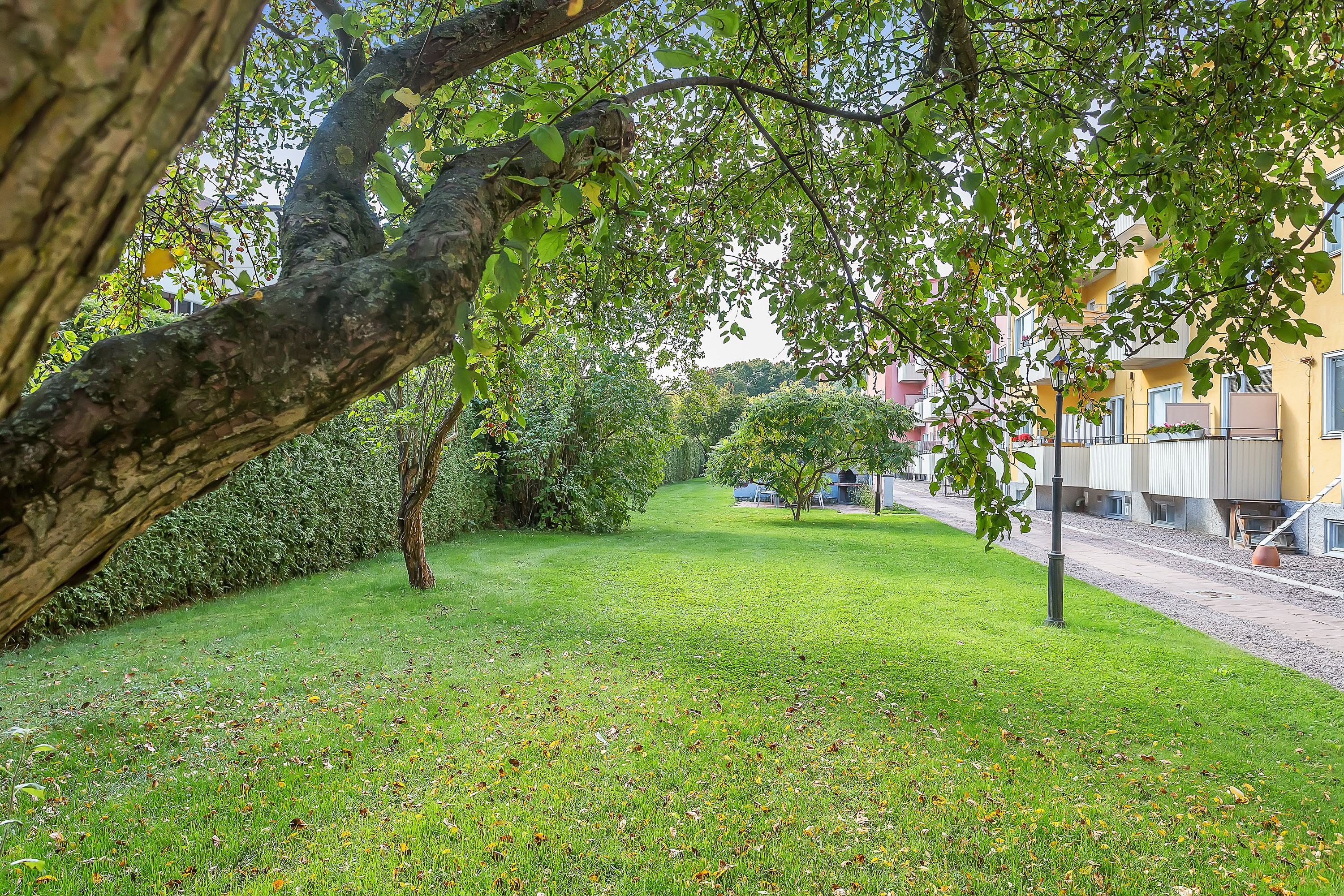 Bostadsbild från Ringgatan 22D, Till salu i Luthagen, Uppsala
