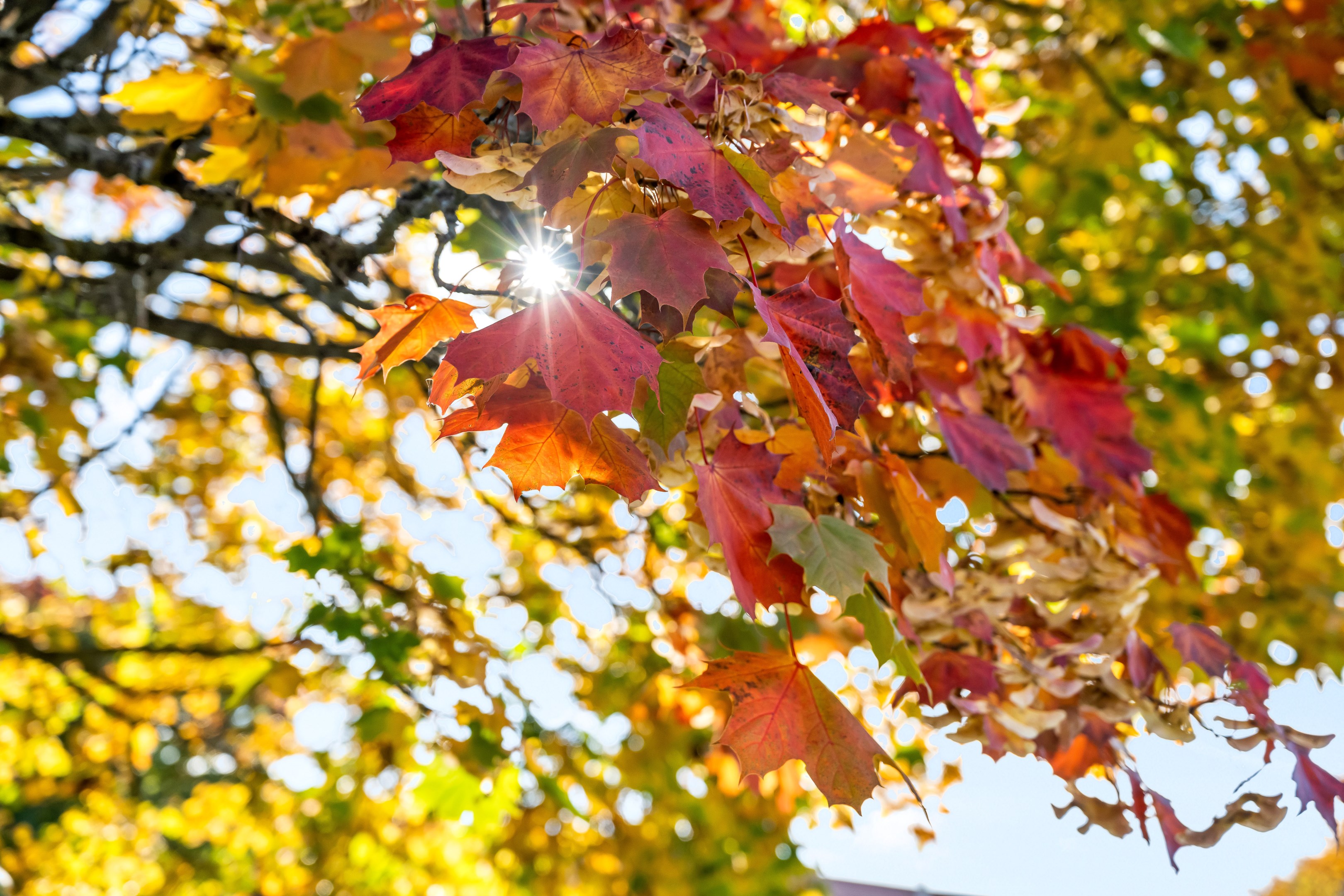 Bostadsbild från Apelgatan 8, Såld i Salabacke, Uppsala