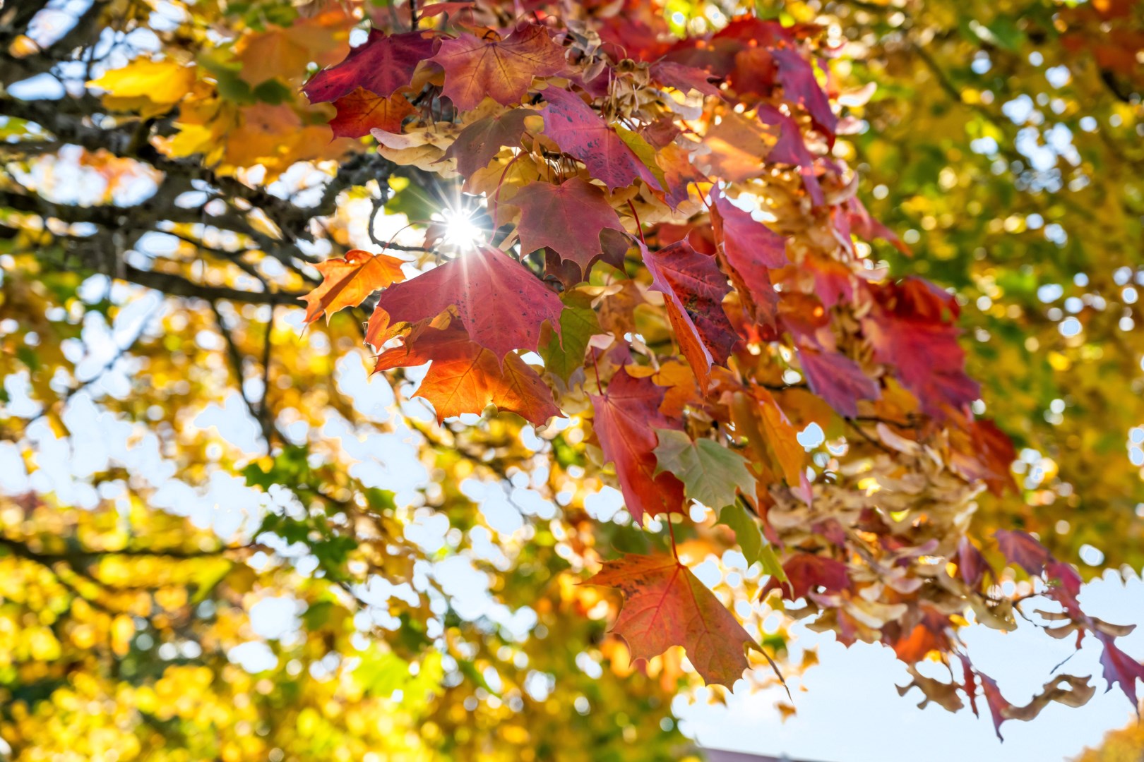 Bostadsbild från Apelgatan 8, Såld i Salabacke, Uppsala