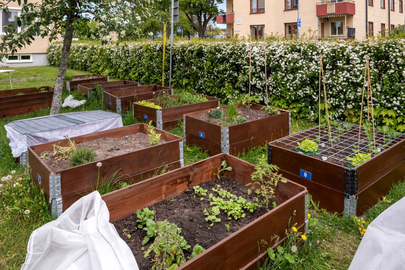 Bostadsbild från Lästmakargatan 14A, Såld i Salabacke, Uppsala