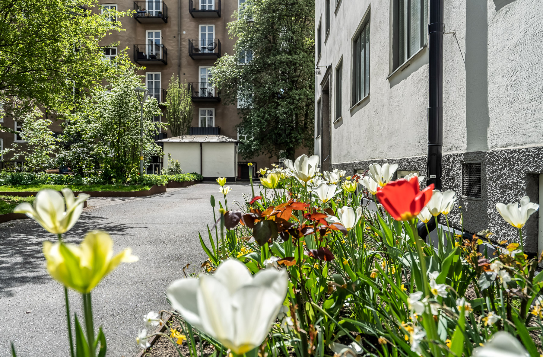 Bostadsbild från Wargentinsgatan 3, Såld i Kungsholmen, Stockholm