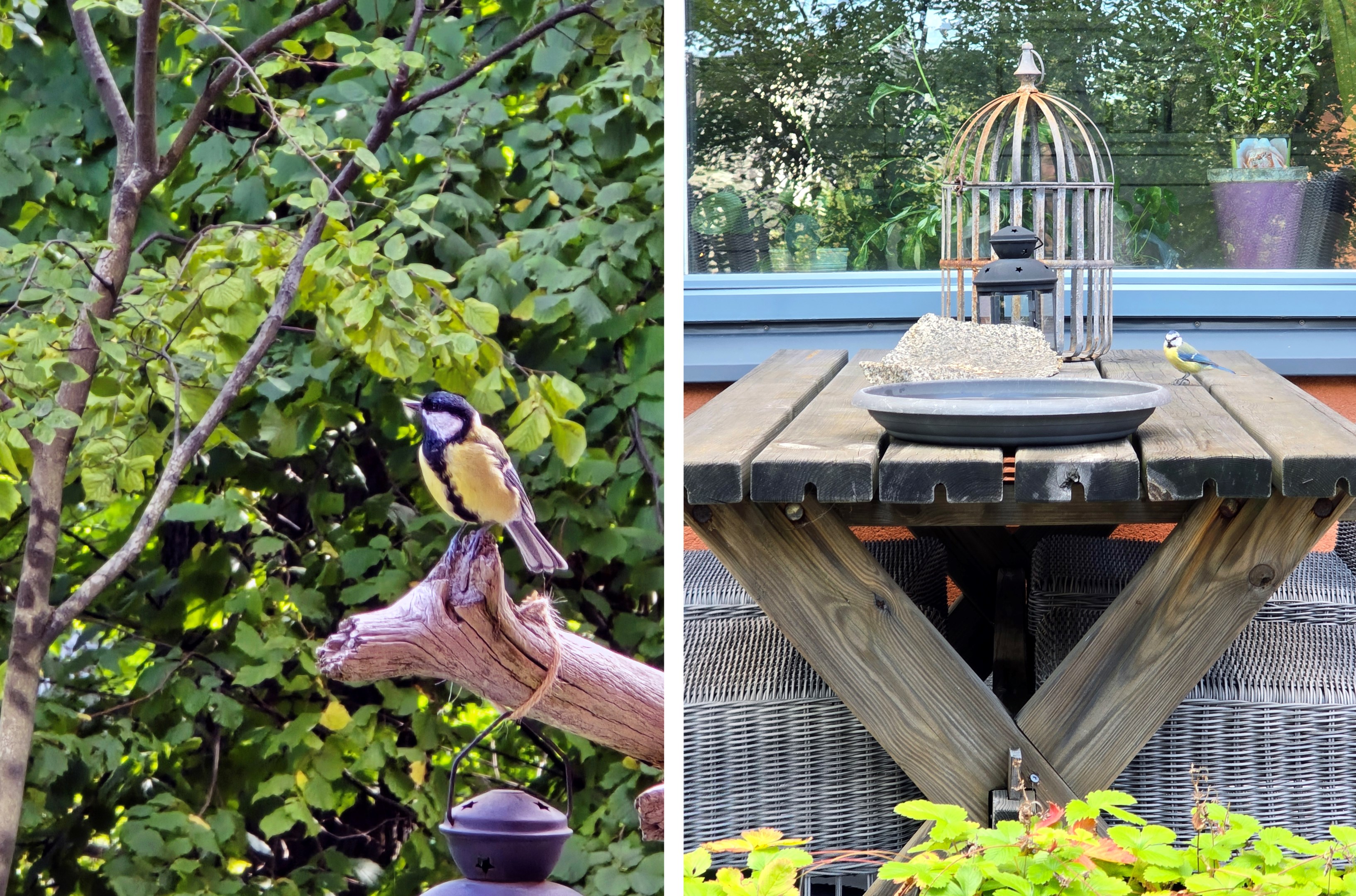 Bostadsbild från Ringvägen 5B, BV, Kommande i Saltsjöbaden, Nacka