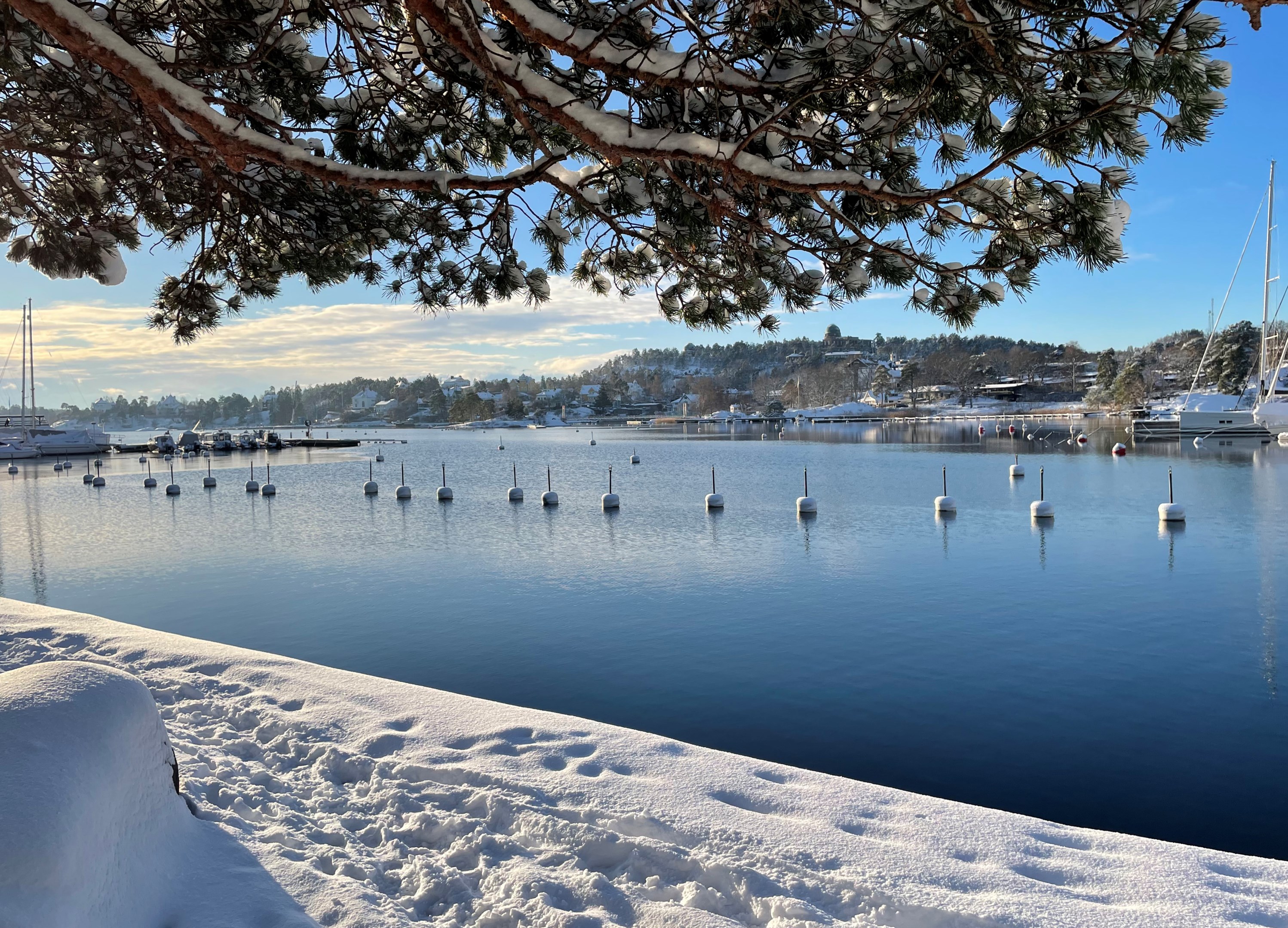 Bostadsbild från Ringvägen 5B, BV, Kommande i Saltsjöbaden, Nacka