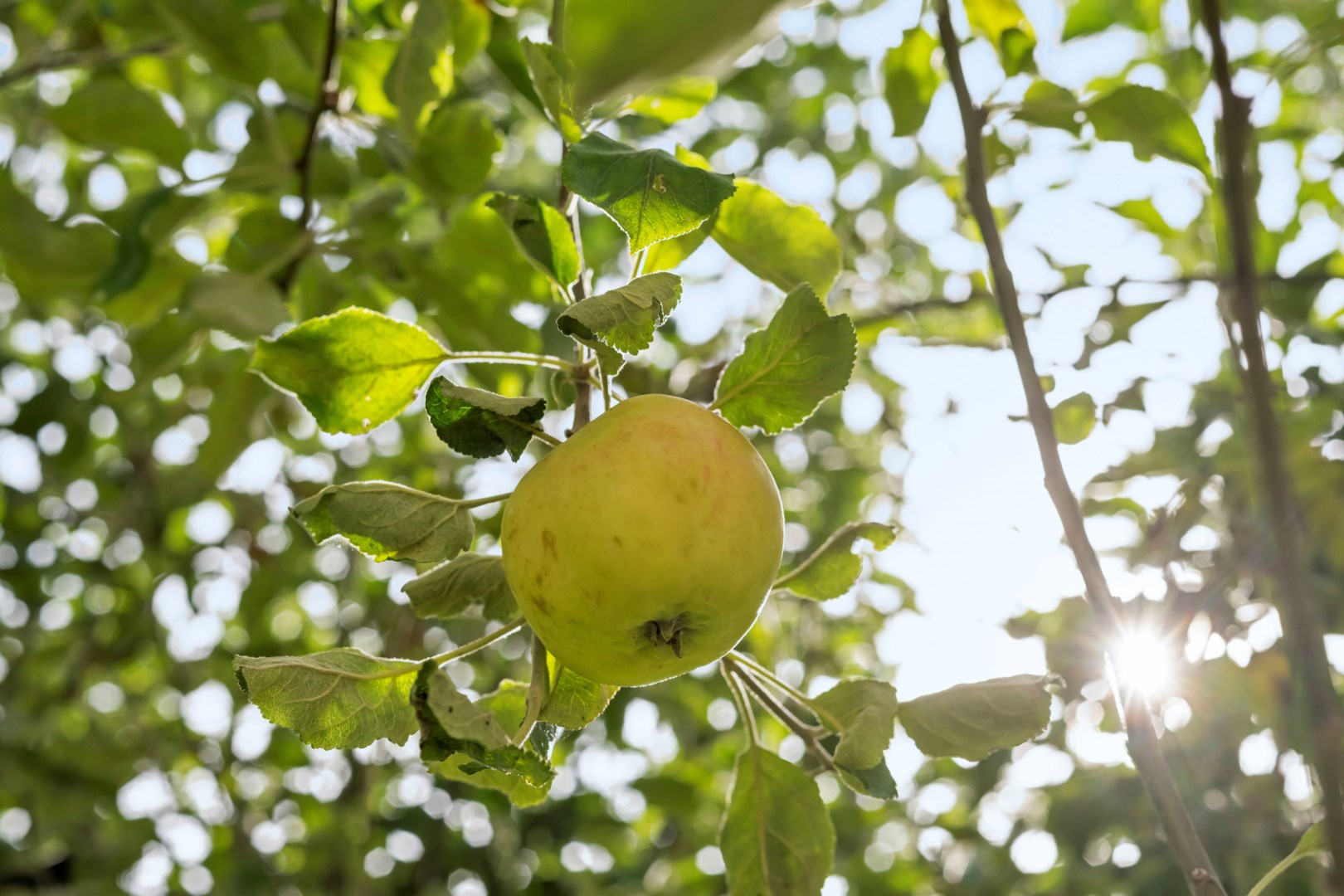 Bostadsbild från Österängsgatan 12B, Såld i Fålhagen, Uppsala