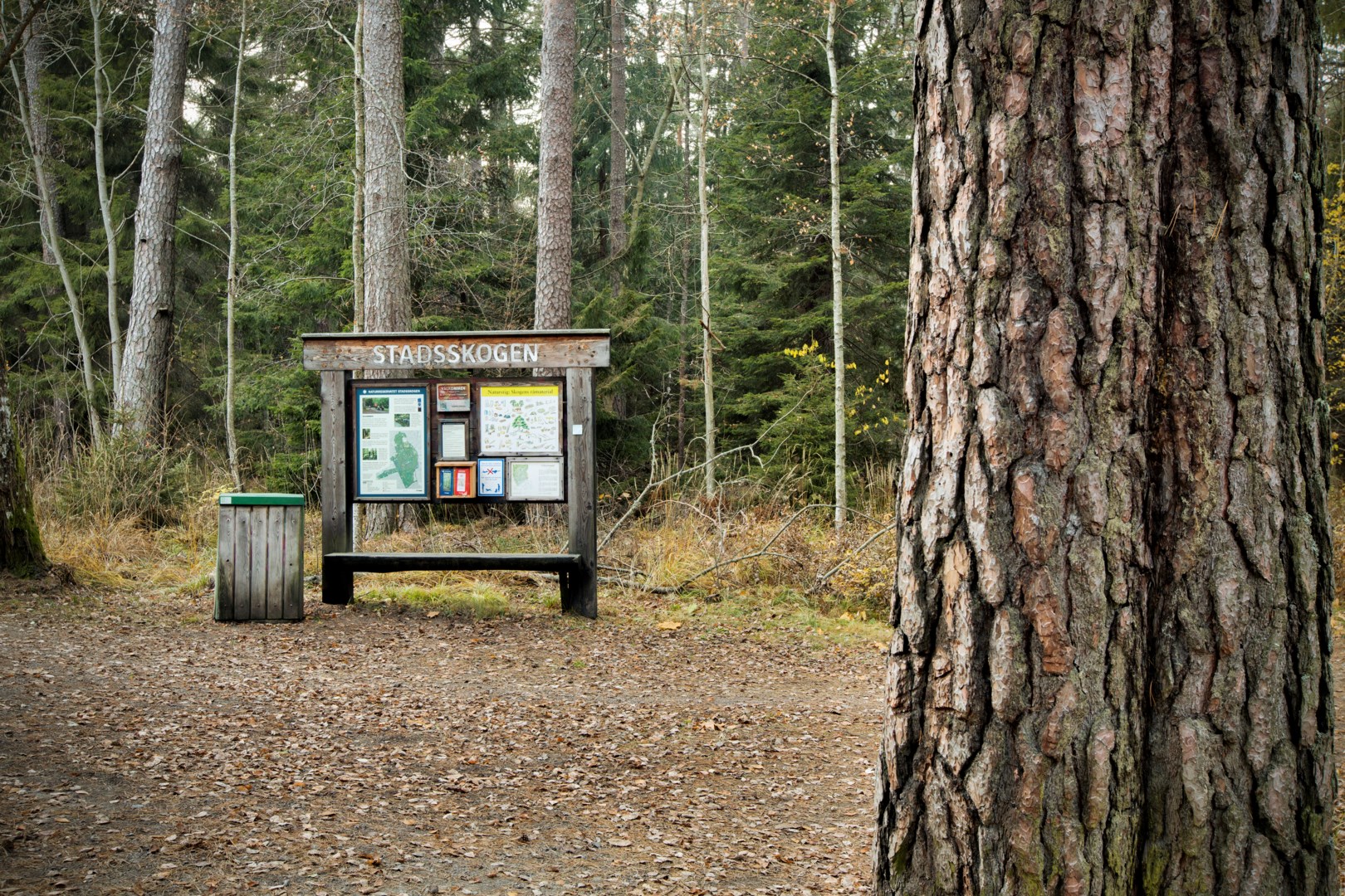 Bostadsbild från Torgny Segerstedts allé 4, Såld i Rosendal, Uppsala