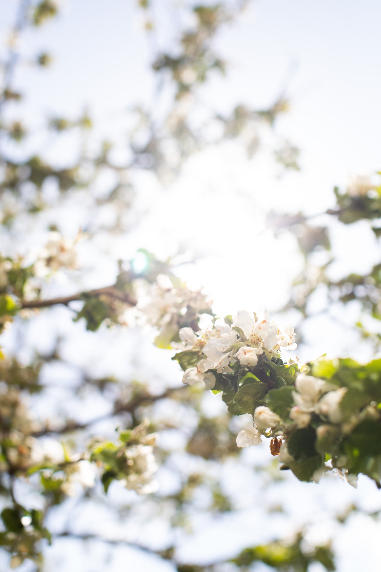 Bostadsbild från Artillerigatan 14A, Såld i Kåbo, Uppsala