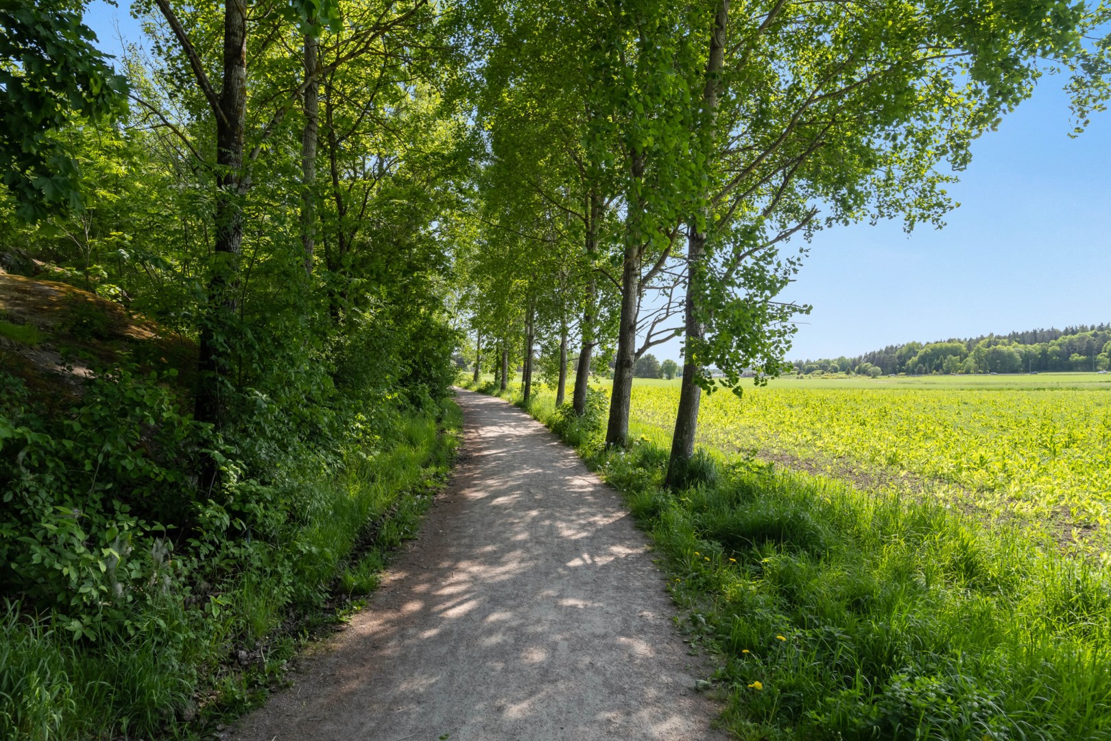 Bostadsbild från Formgatan 3, Till salu i Luthagen, Uppsala