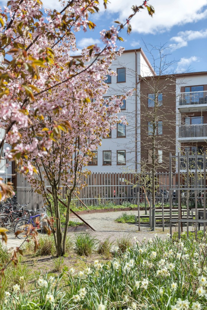 Bostadsbild från Torngatan 1, Kommande i Kapellgärdet, Uppsala