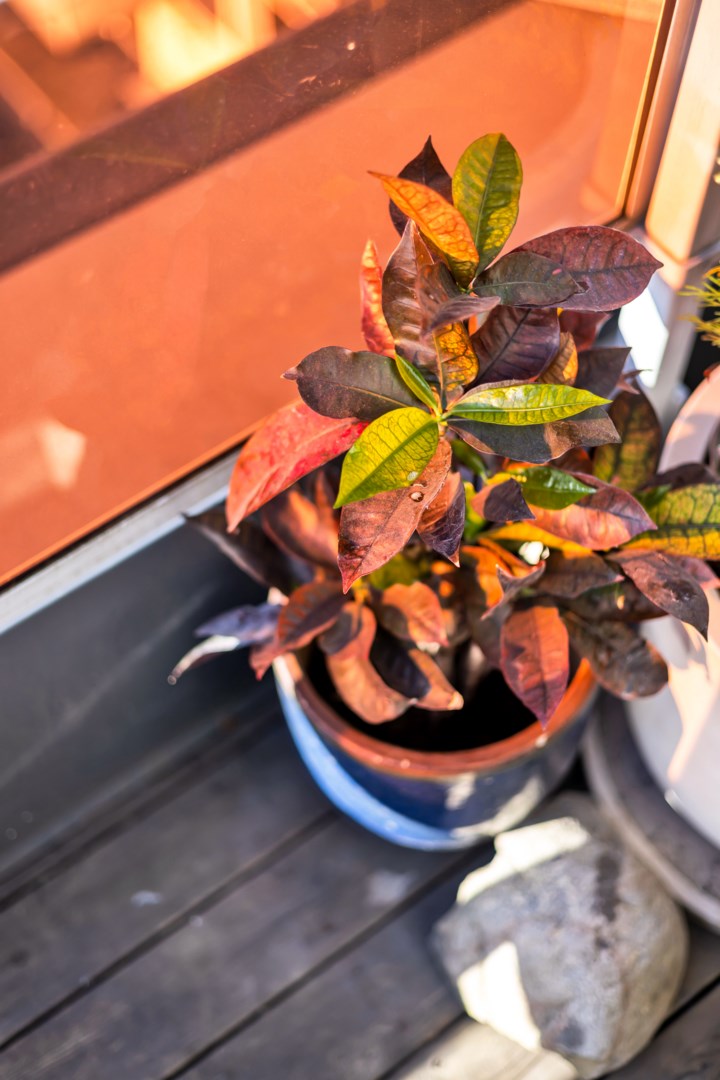 Bostadsbild från Råbyvägen 24, Till salu i Kapellgärdet, Uppsala